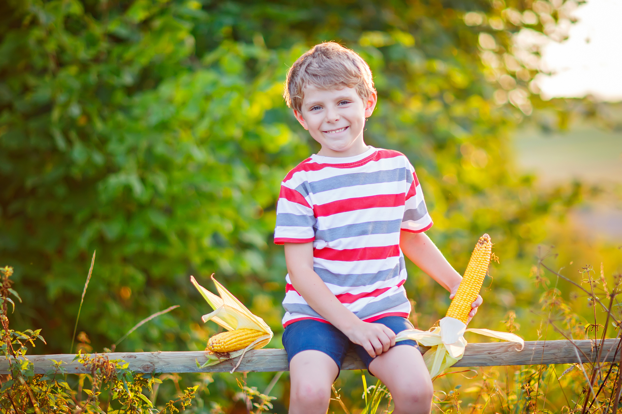 kid boy with sweet corn on field outdoors