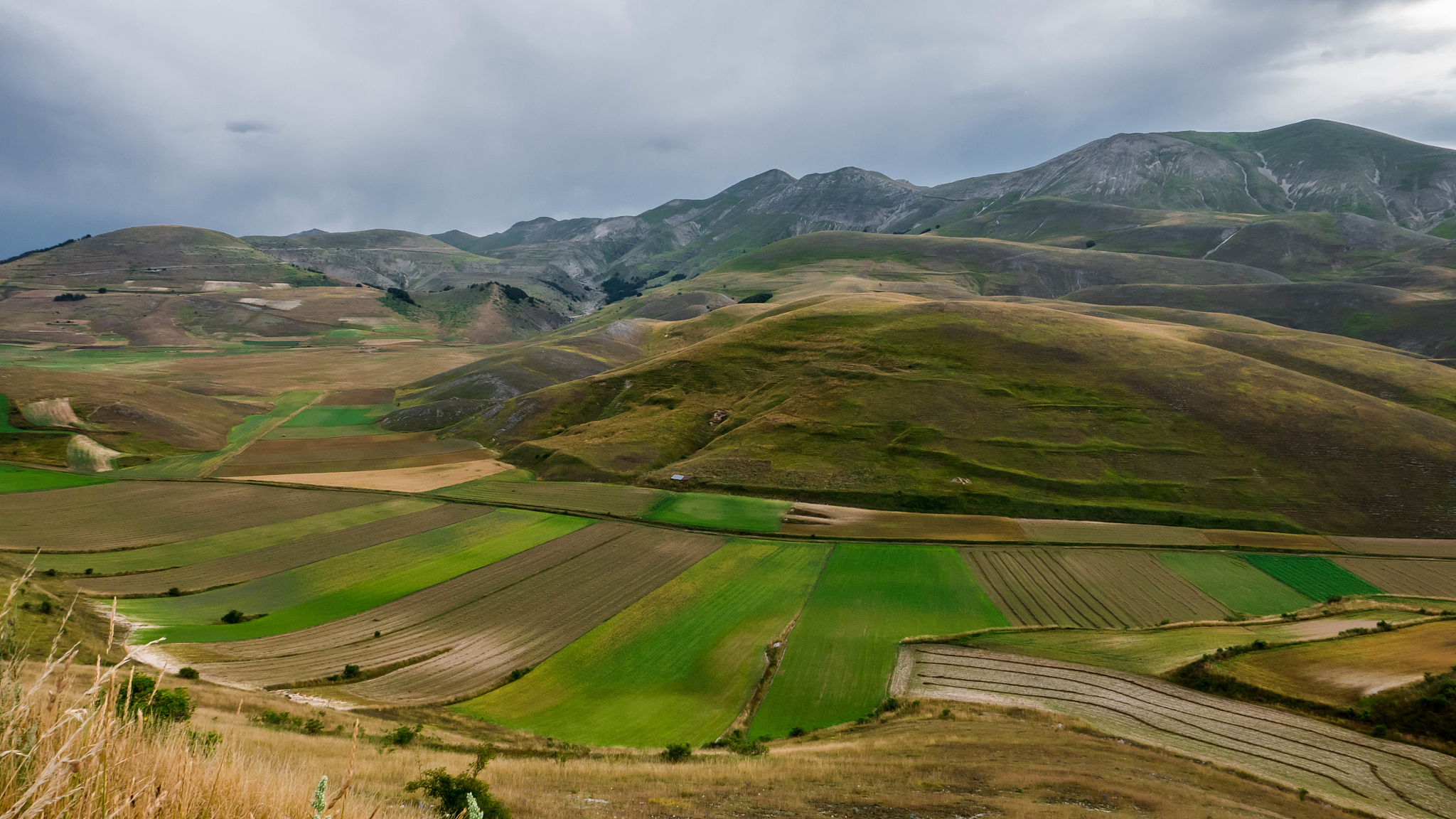 green fields and hills