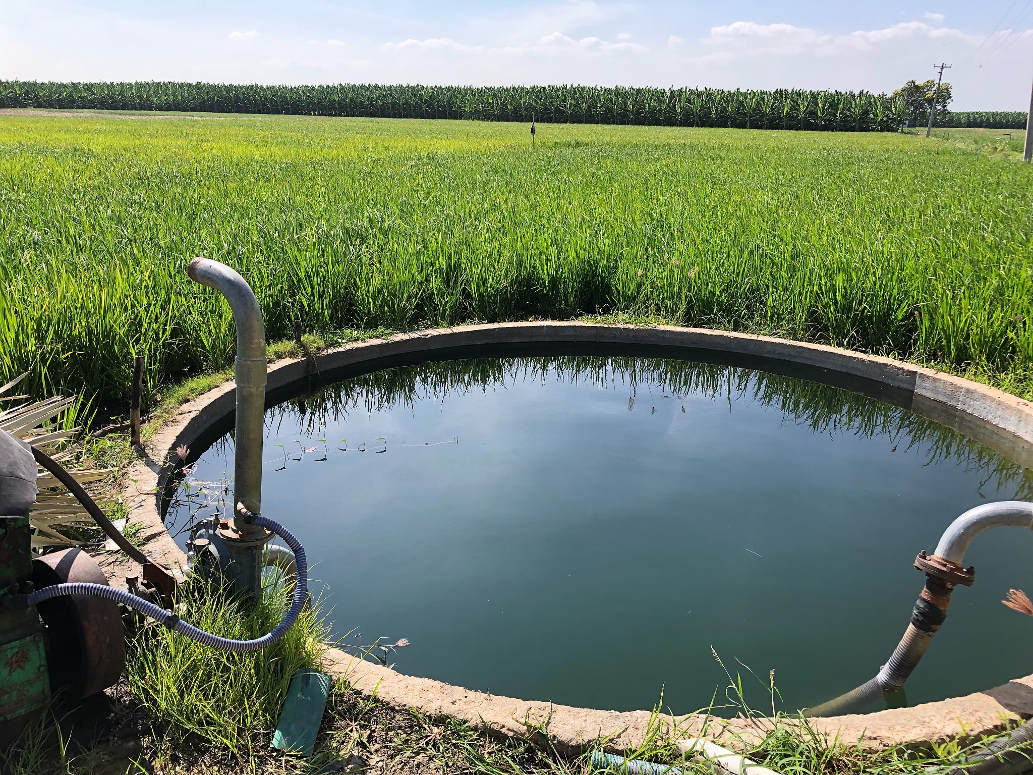 中国养鱼厂水污染现状及解决方案：绿色发展、十四五规划与食品安全