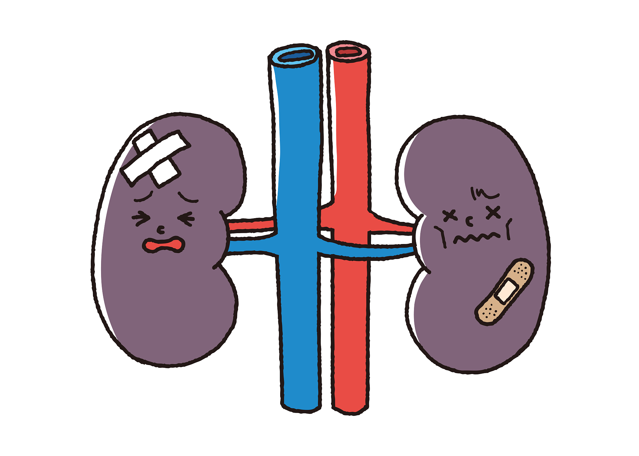 肾炎和肾功能不全的区别