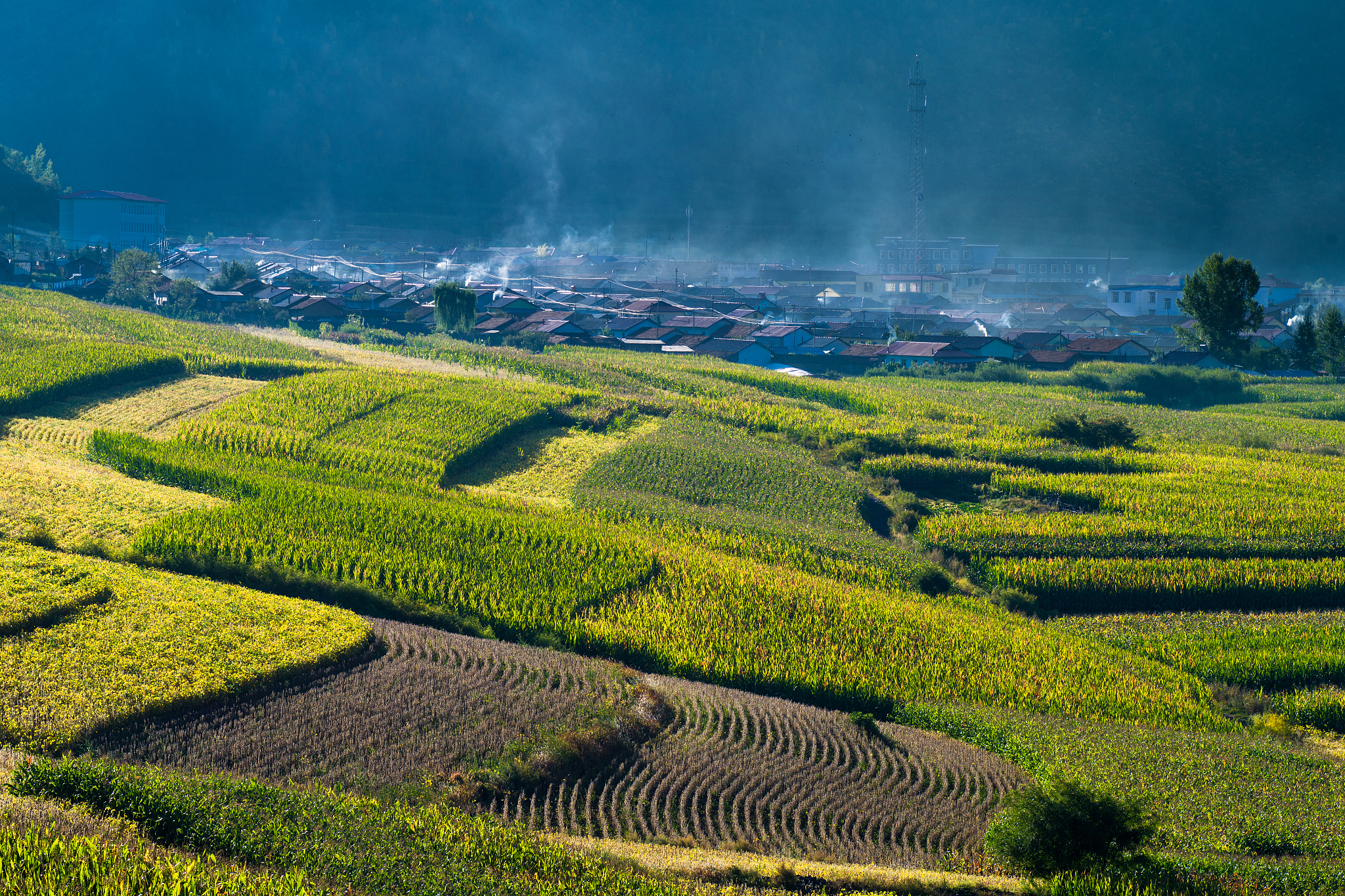 新时代下我国粮食东北华北等地区的更为详细的背景