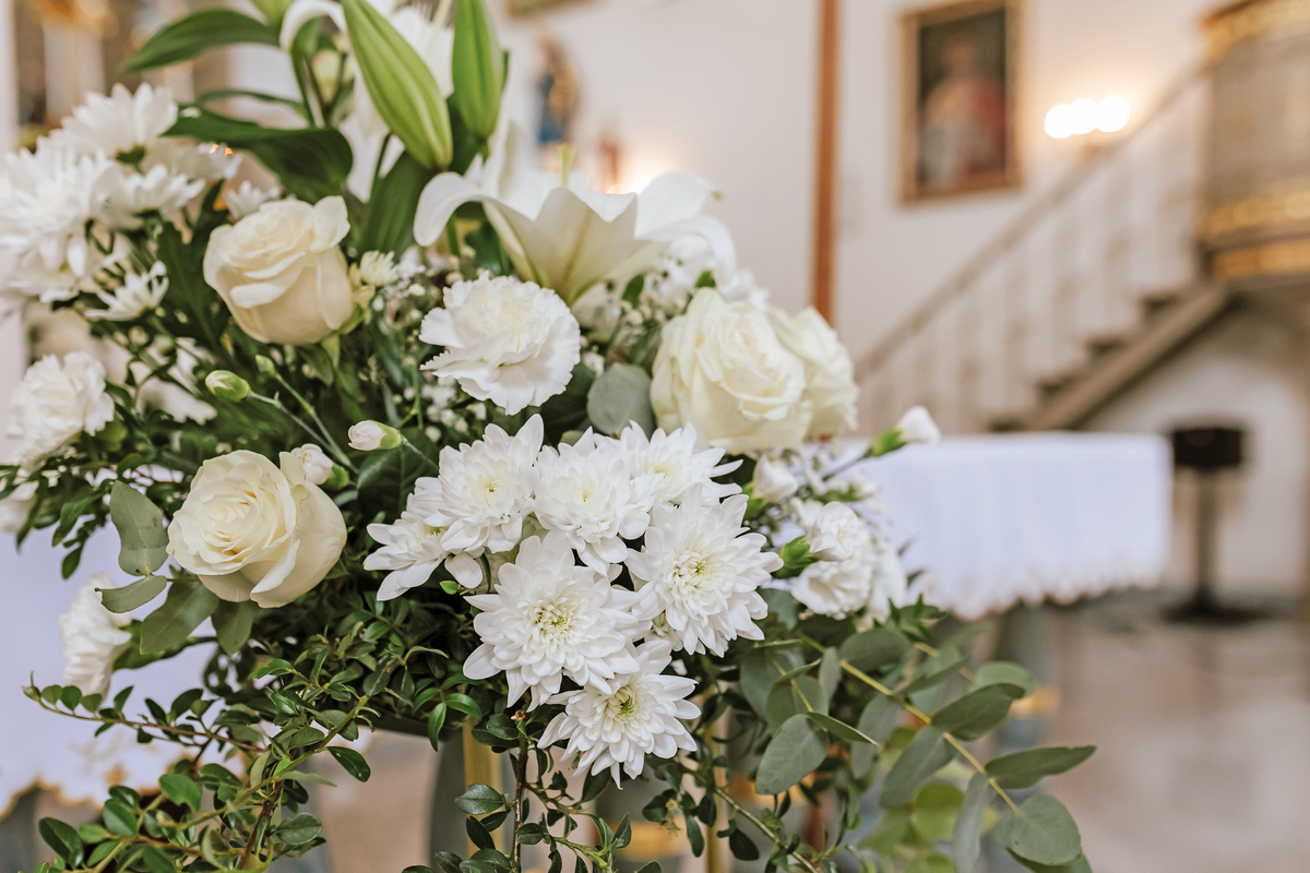 白桔梗花园：梦幻般的白色仙境