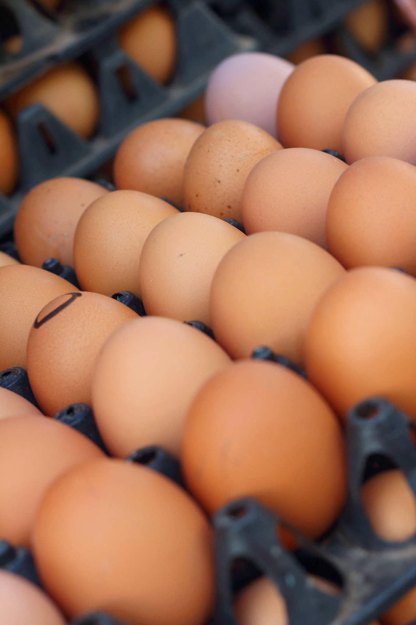 eggs on a tray on the market