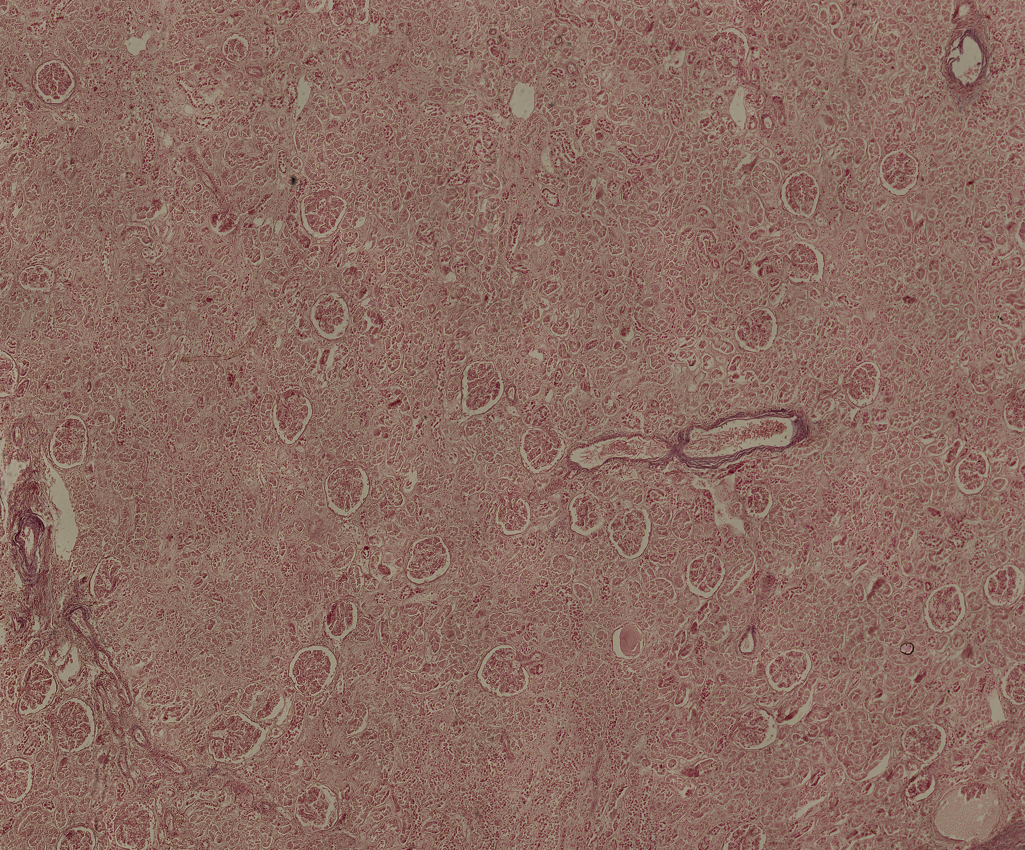 杭州医学院口腔医学专业课程设置详解：优势与劣势分析