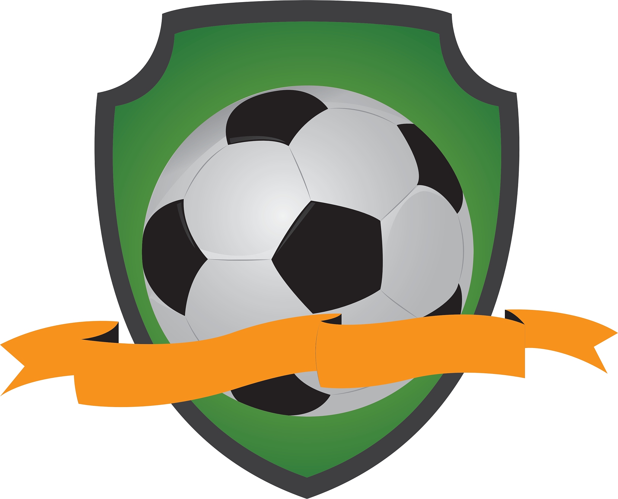 isolated soccer emblem