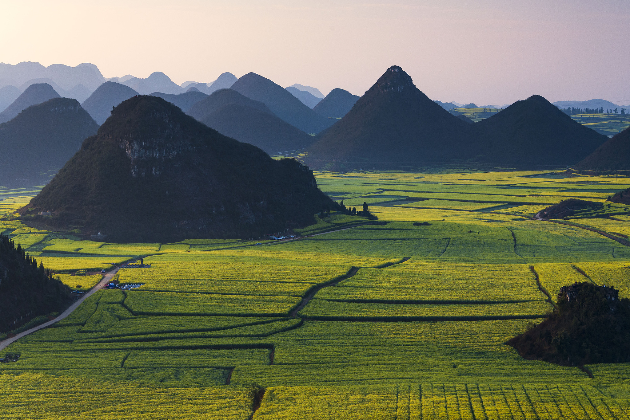 曲靖农业学校智慧健康养老服务专业好就业吗