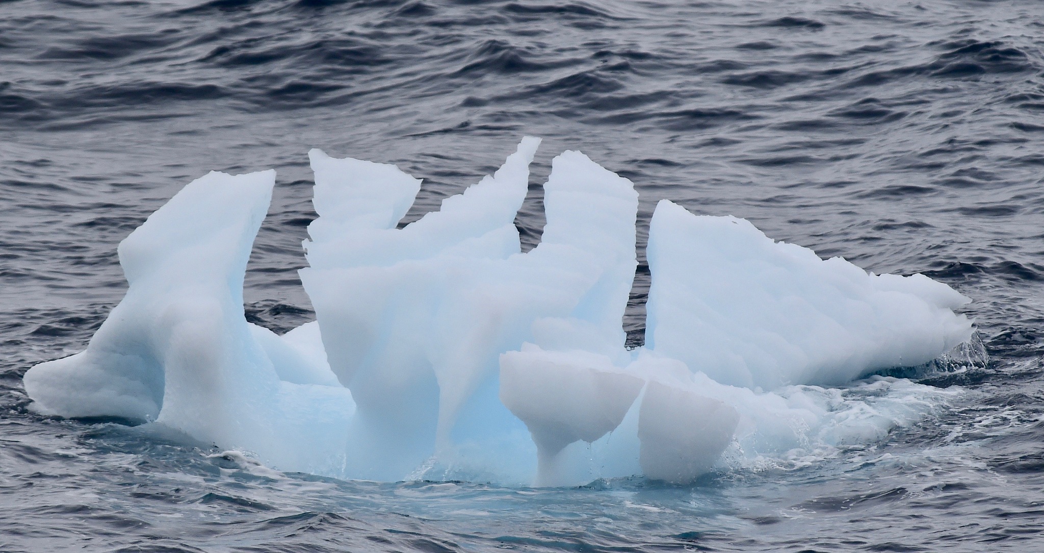 antarctica