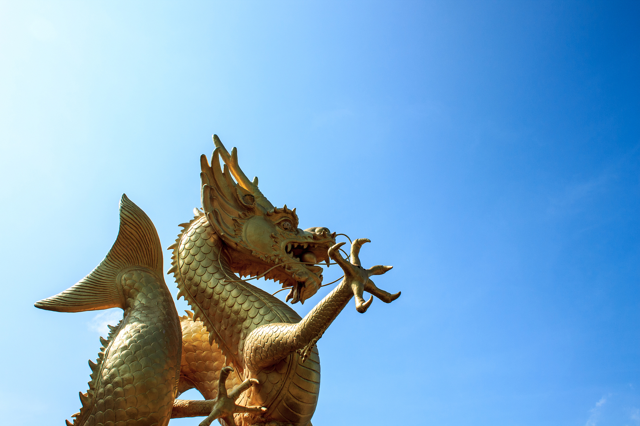 gold chinese dragon of thailand