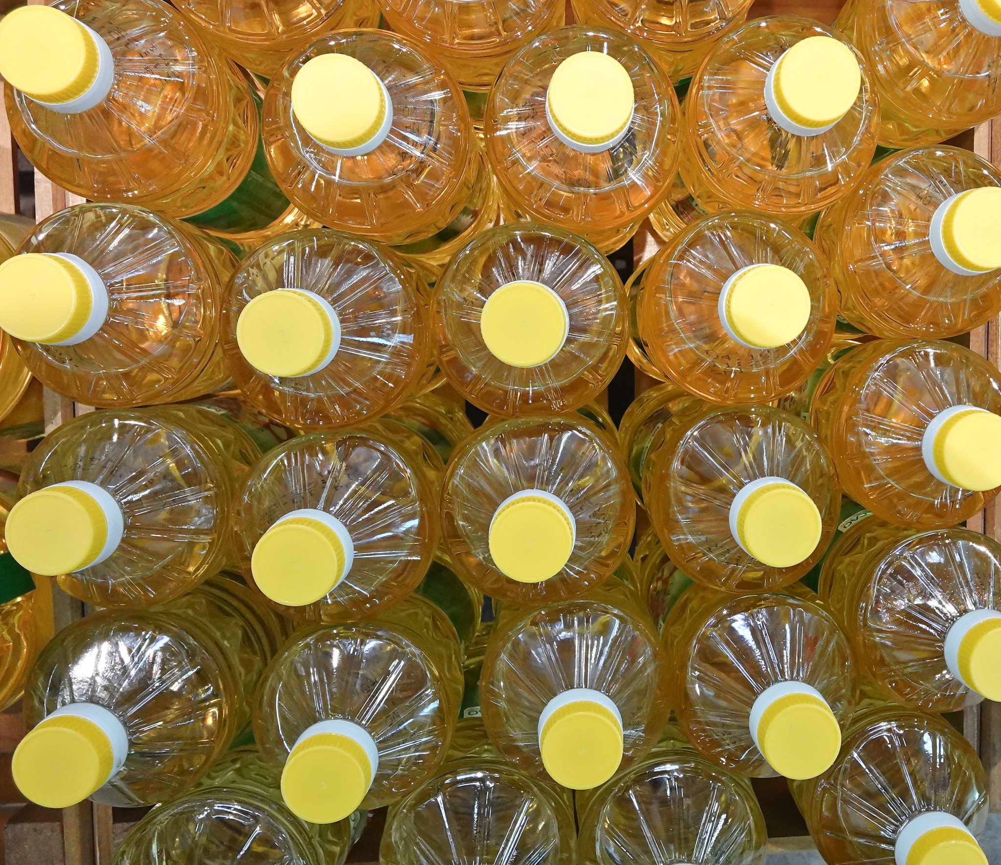 常见食品成分分析：棕榈油、色拉油、水、淀粉和盐