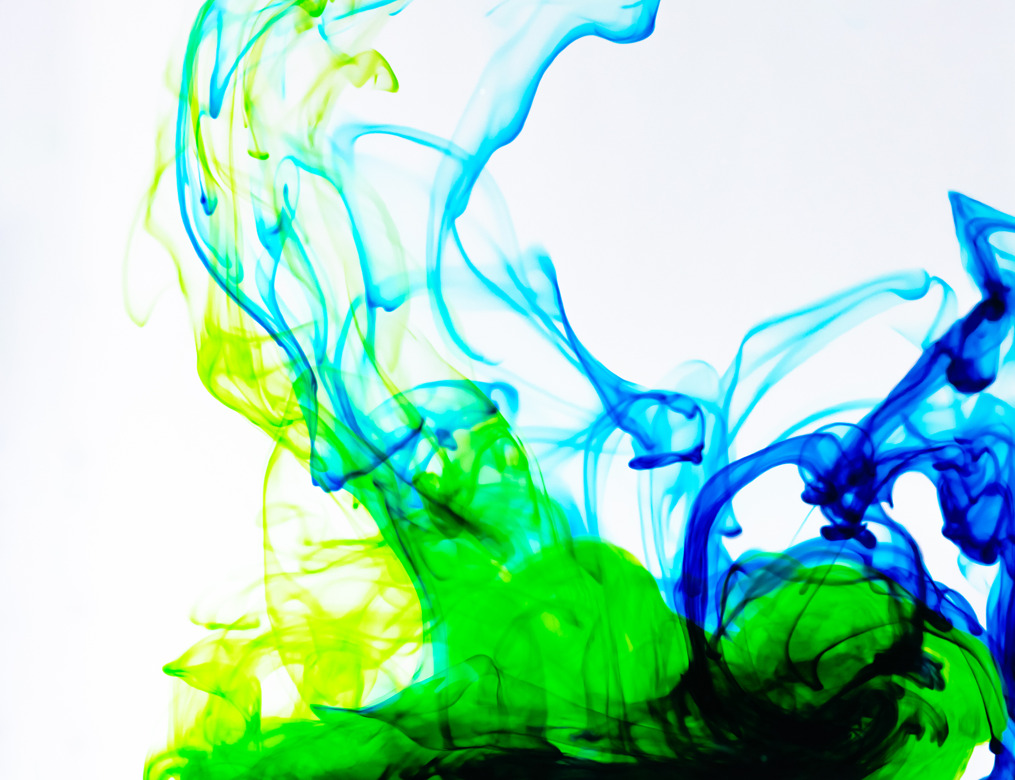 福州职业技术学院单招有药剂专业吗