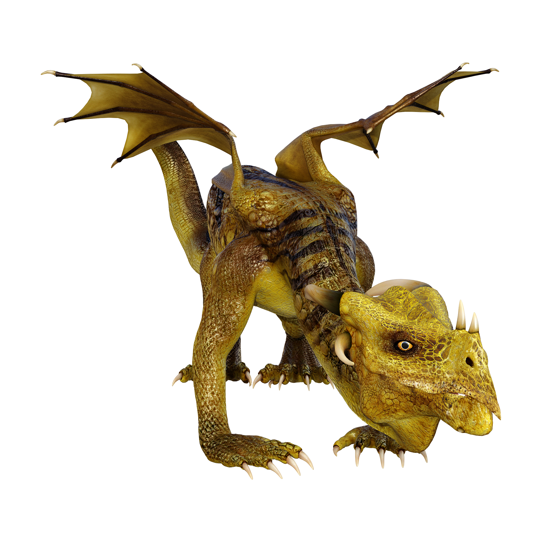3d illustration fantasy dragon on white