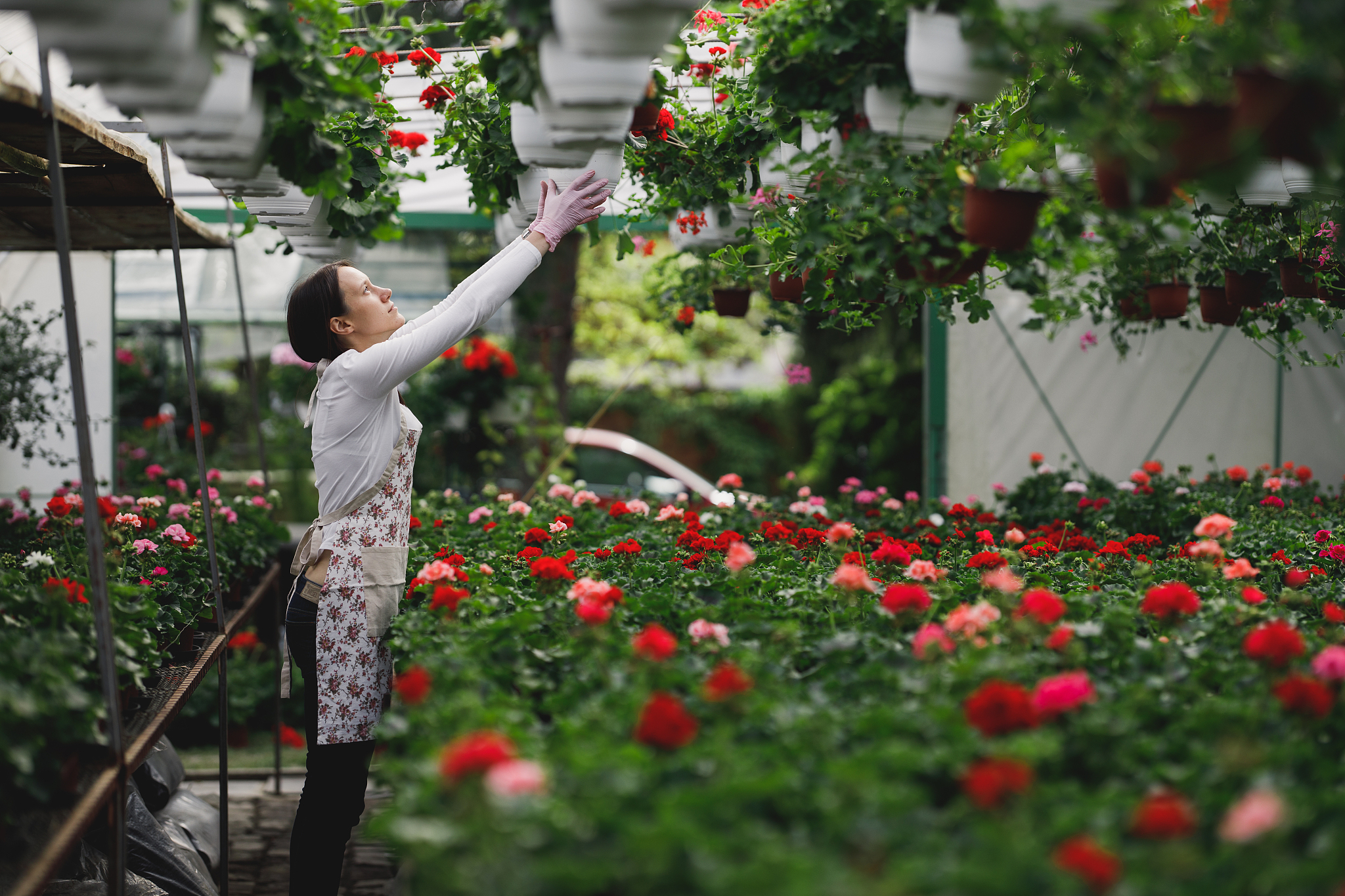 flower nursery