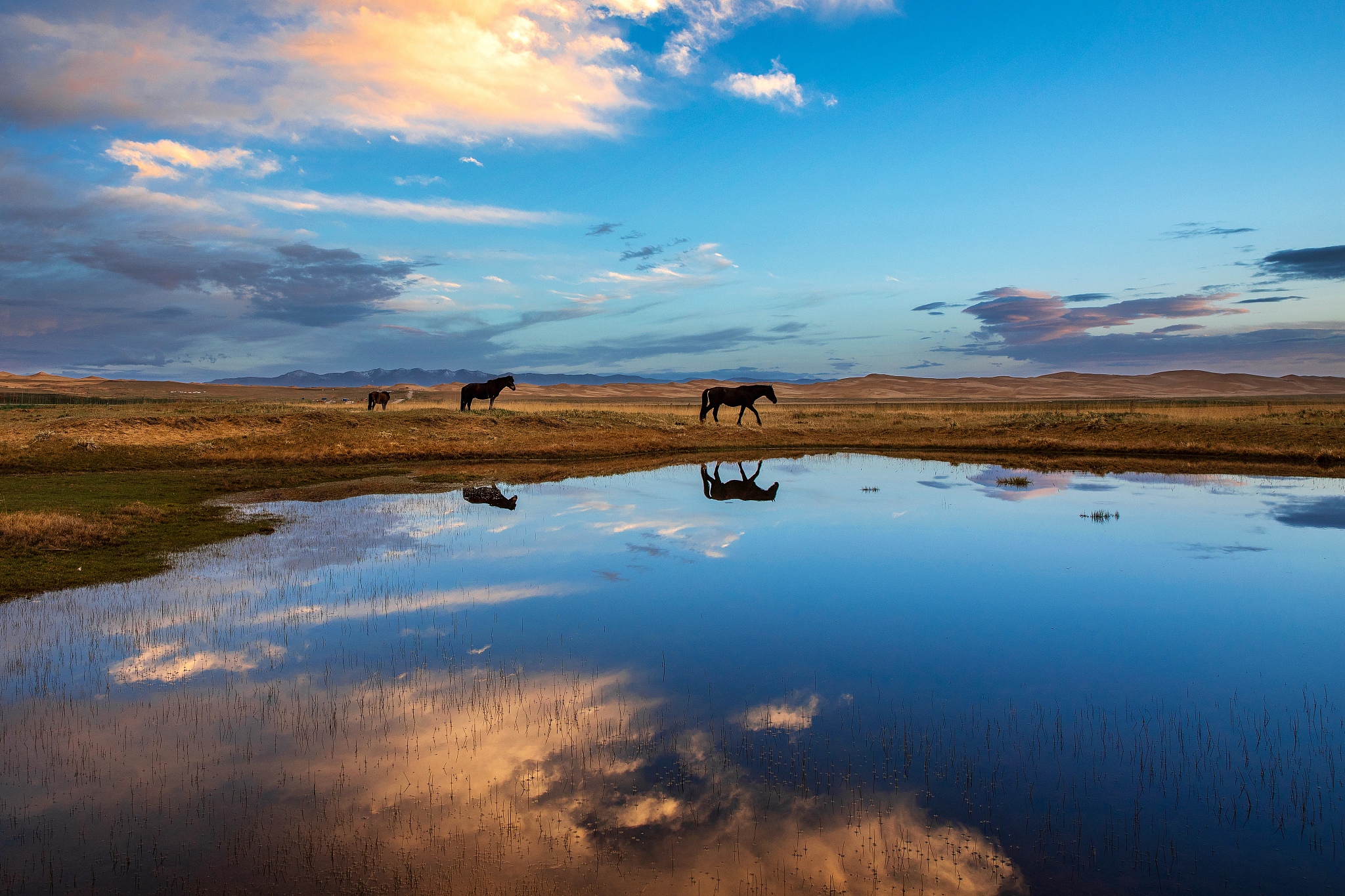 朝东暮西是什么意思_词语朝东暮西的意思
