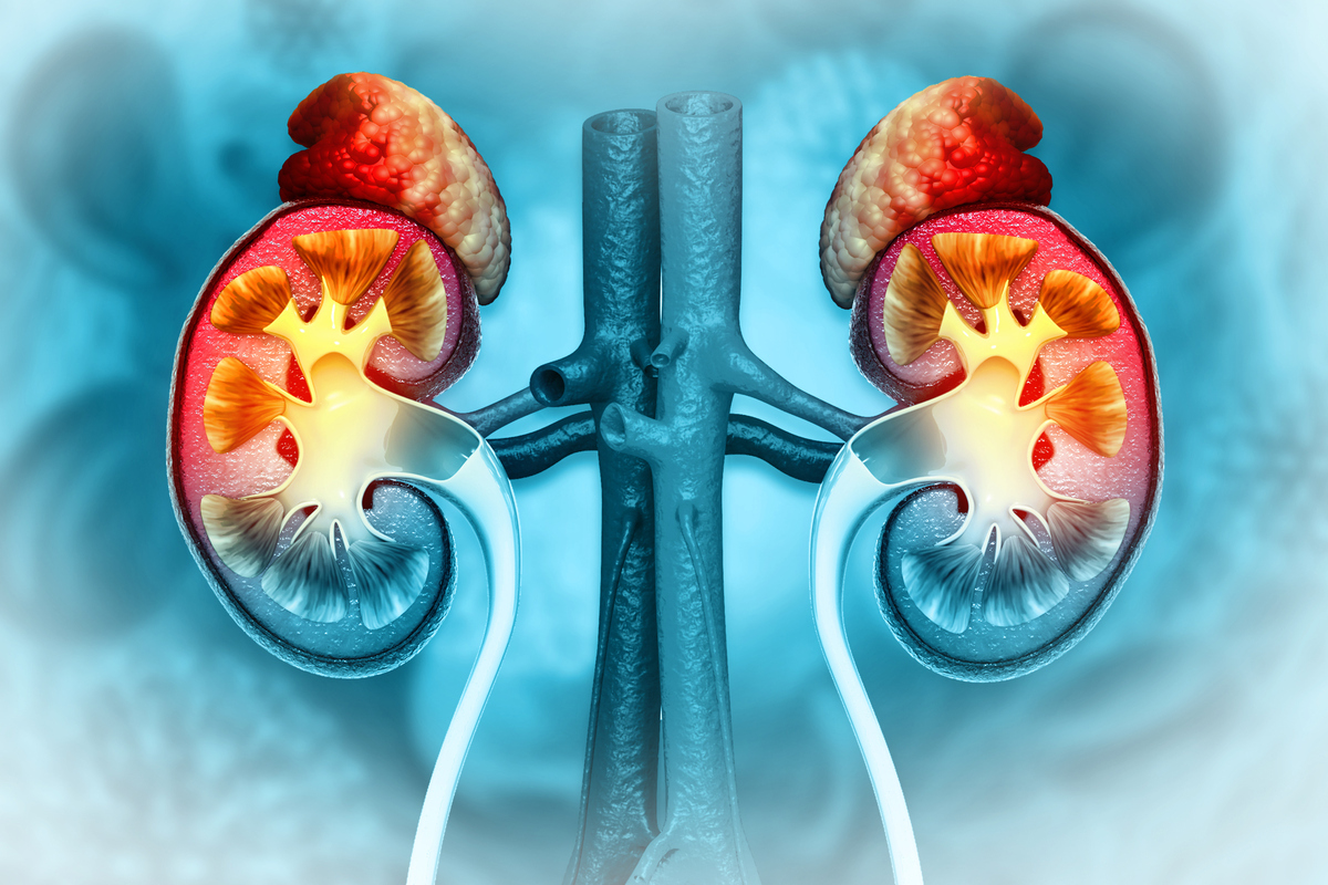 平衡晶体溶液减少重大不良肾脏事件：研究发现