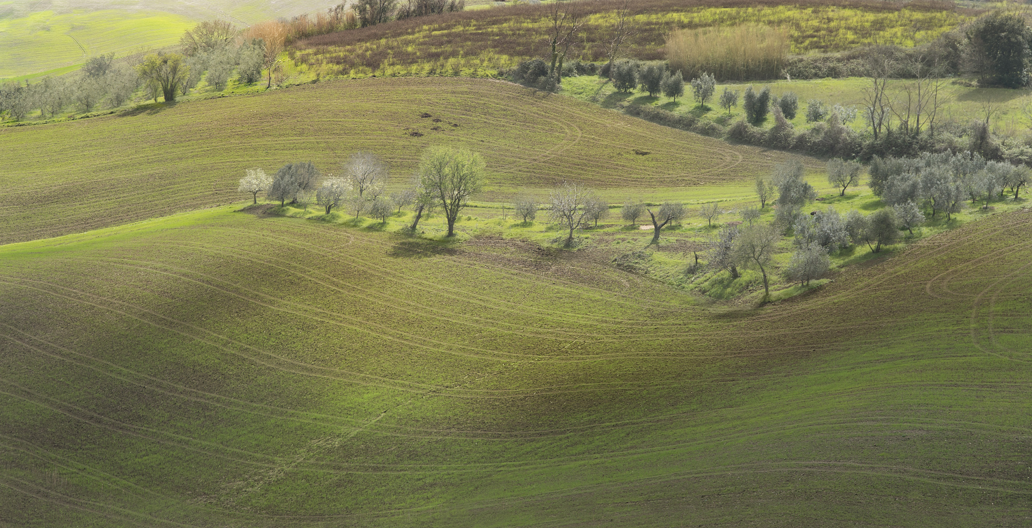 hills