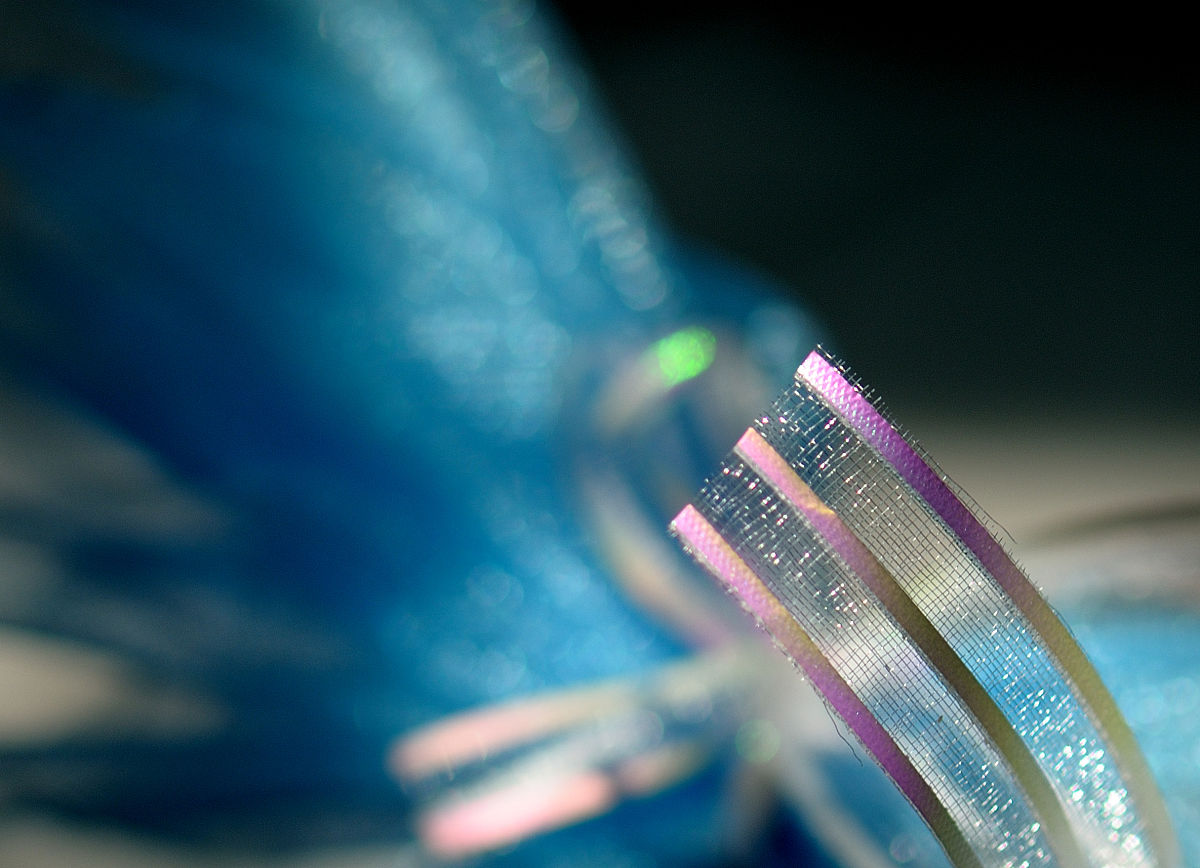 自供电可穿戴织物。热激活延迟荧光材料等新材料