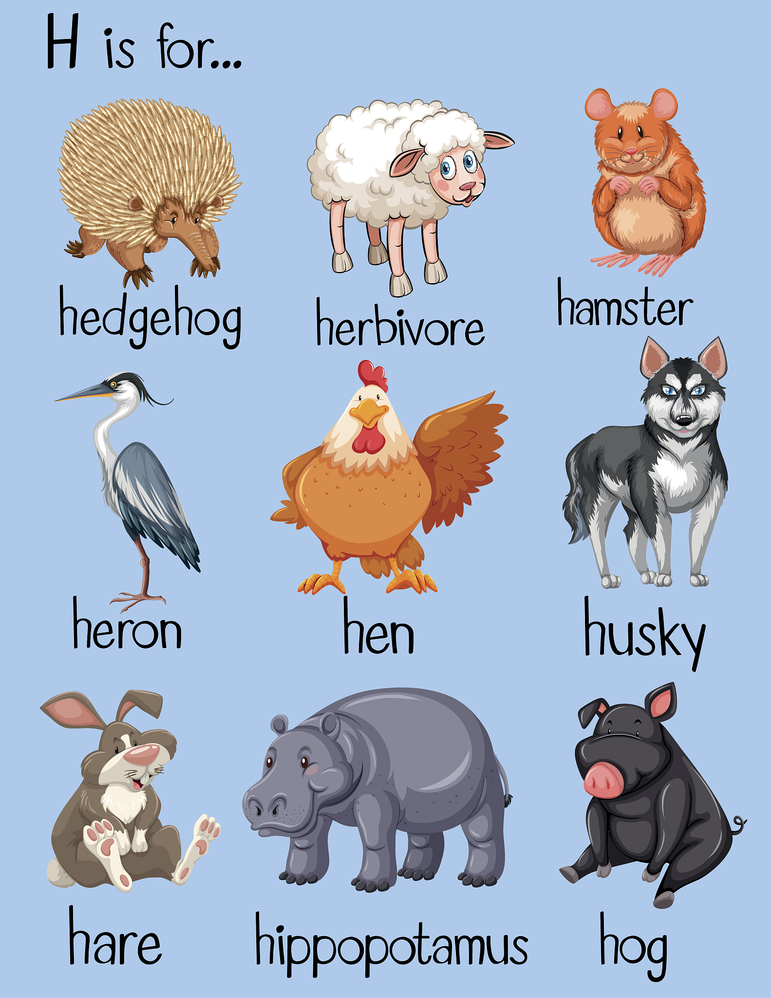 HE能组成的所有单词 - 完整列表