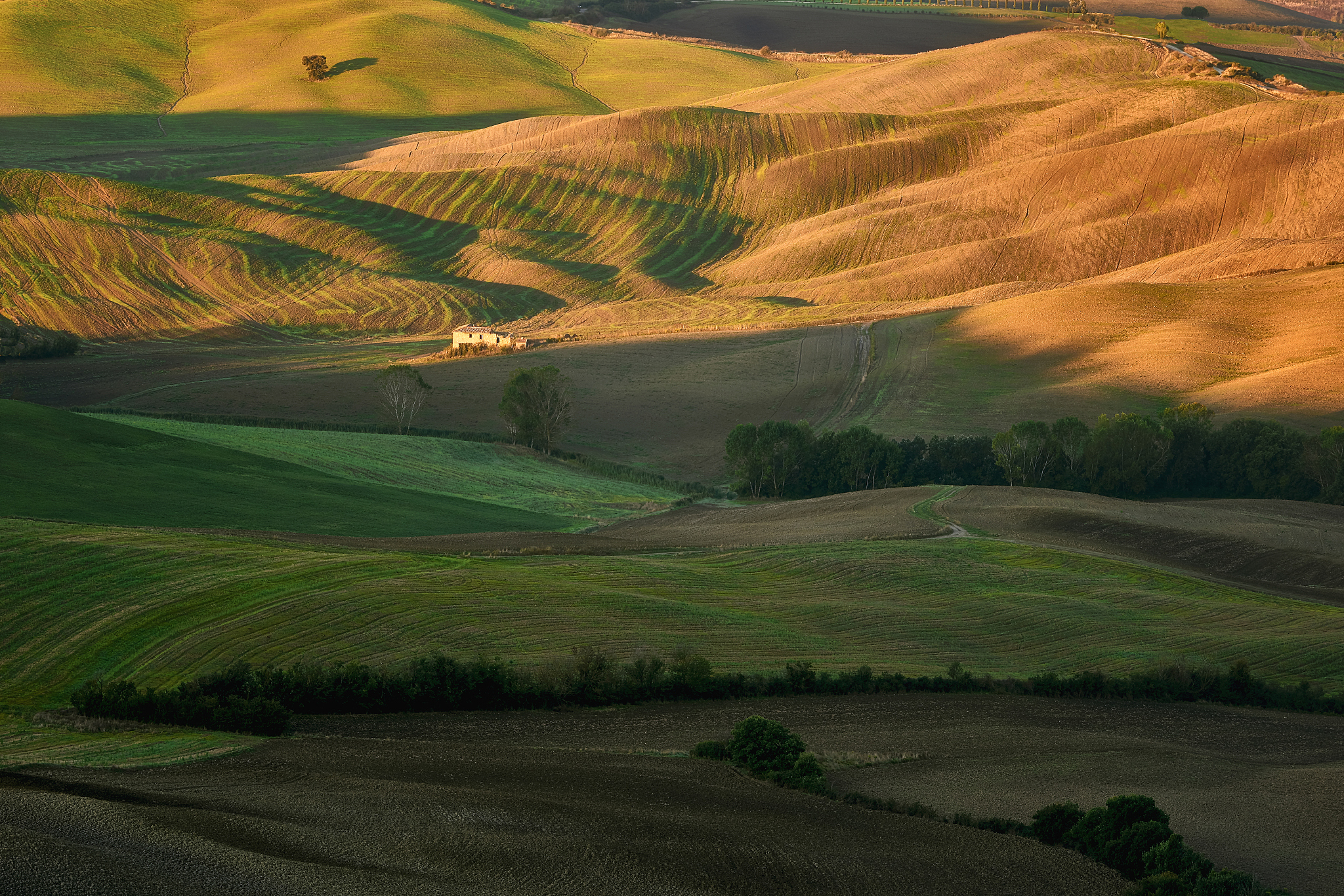 tractor, photographed in the agricultural field during the proce