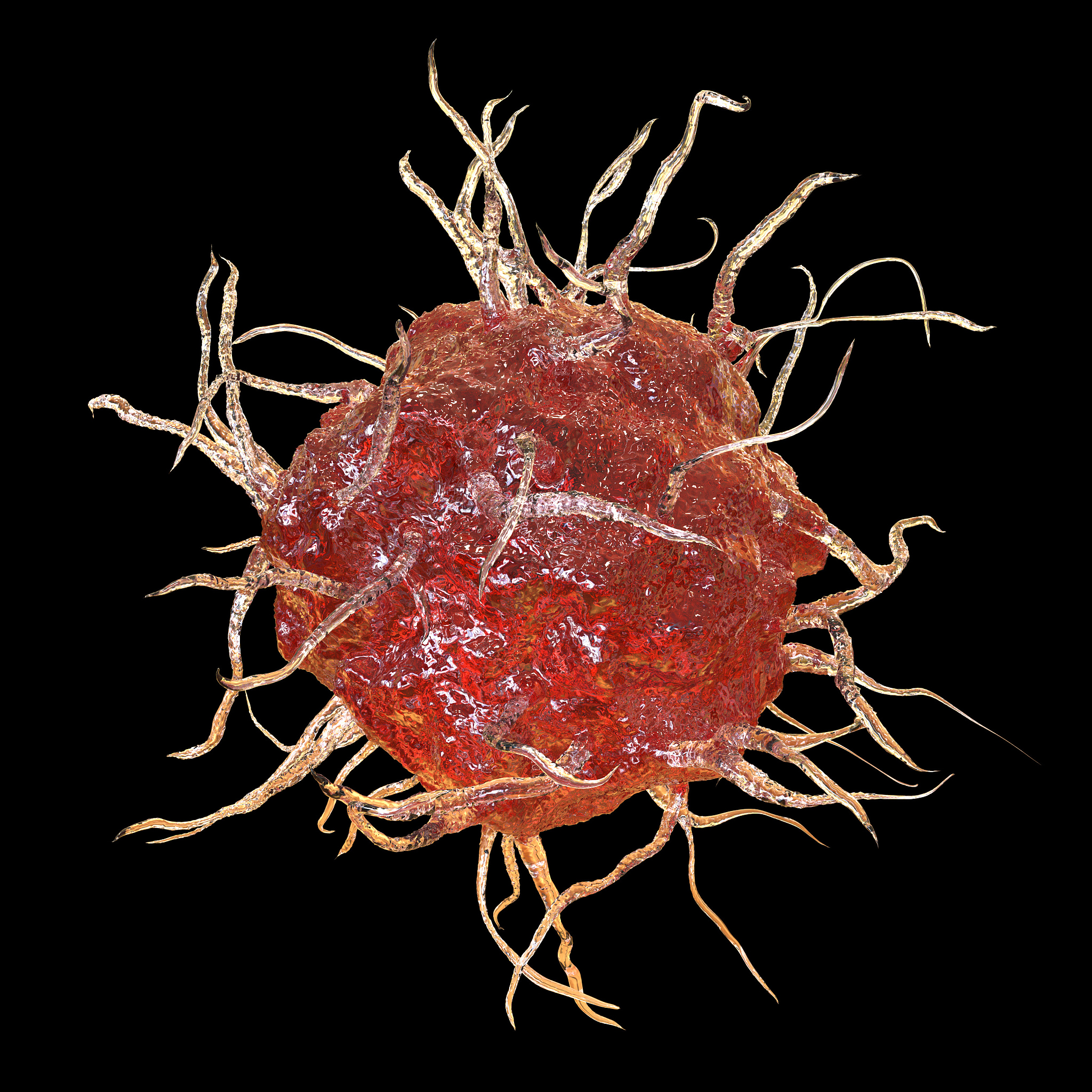 抗体中和机制详解：如何阻止病原体入侵？