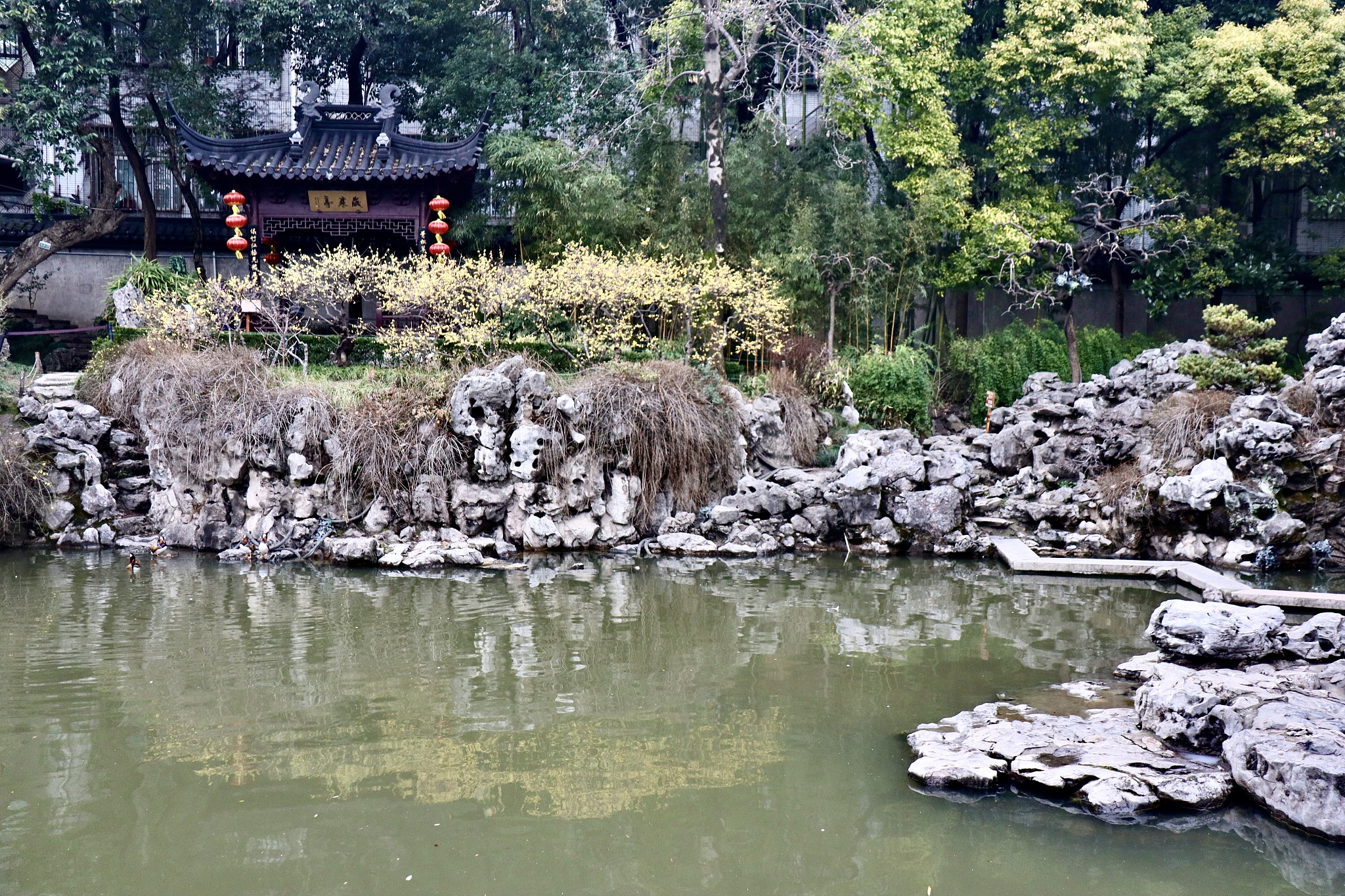 南京碧波池可以过夜吗现在回答+拓展