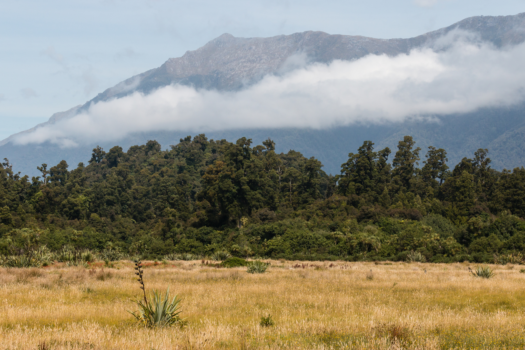 dhcp arp-proxy enable 释义