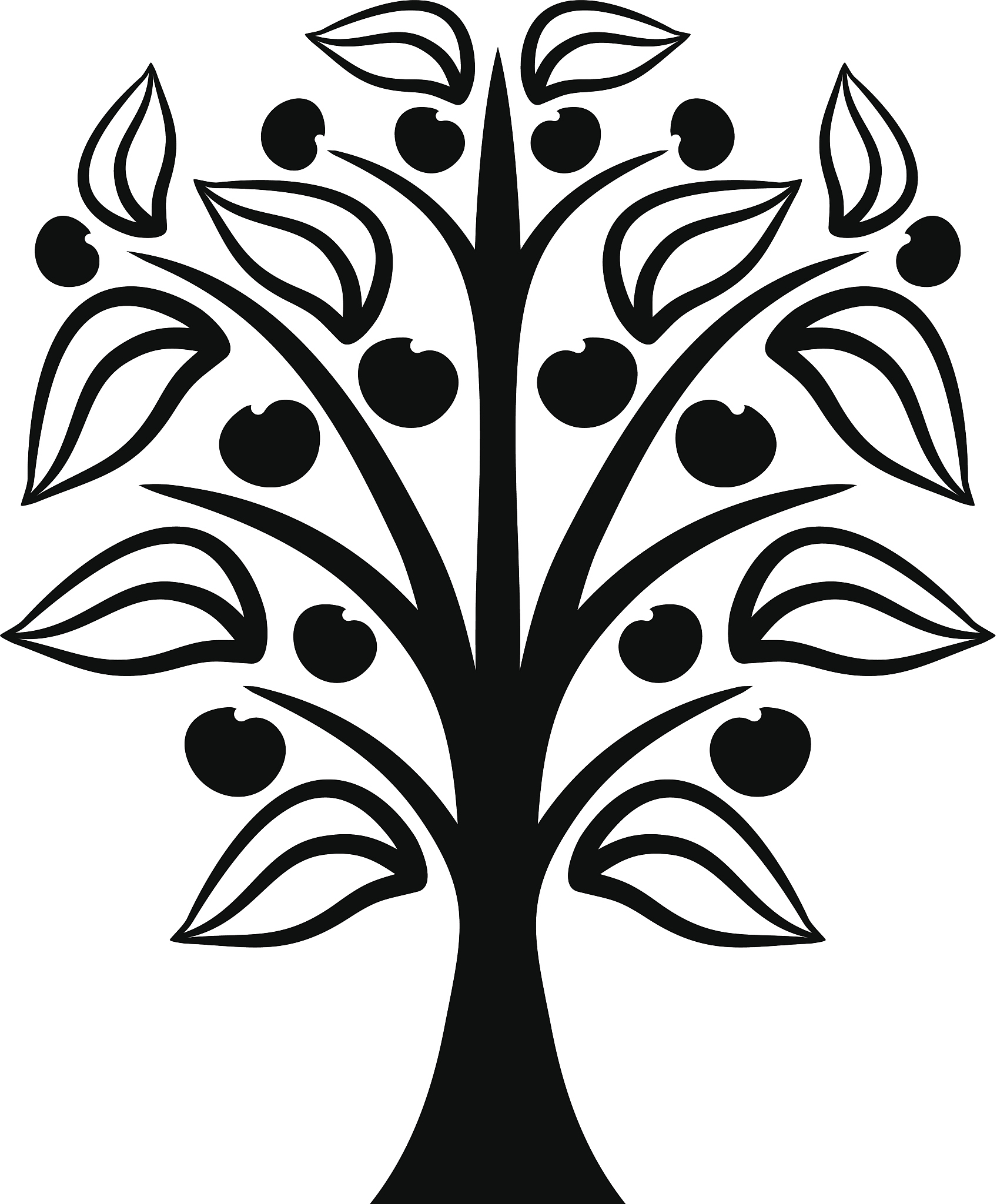 apple tree