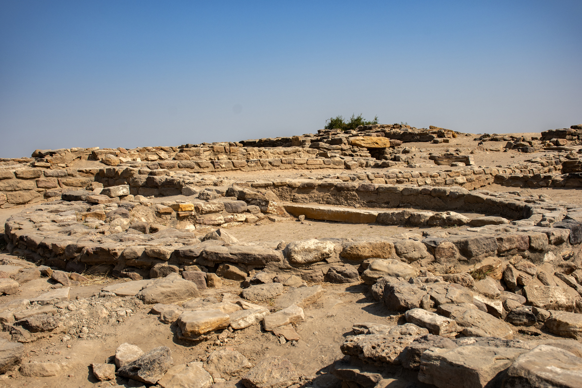 「ふぅ、今日も大分進んだな。そろそろ日も傾いてきたみたいだし、どこか野営出来るところを探さないと」 俺の名はアベル、職業は冒険者。危険な魔物と戦い、珍しい遺跡や宝を見つけて一攫千金を狙うリスキーな職業だ。 俺が暮らす街は王国の中でも外れの方にあるが、その分未開の地に隣り合っている。そこで俺はこの前命がらがら逃げ延びてきた冒険者が、「森の奥に古代の遺跡のようなものがあった」というのでその情報を買った