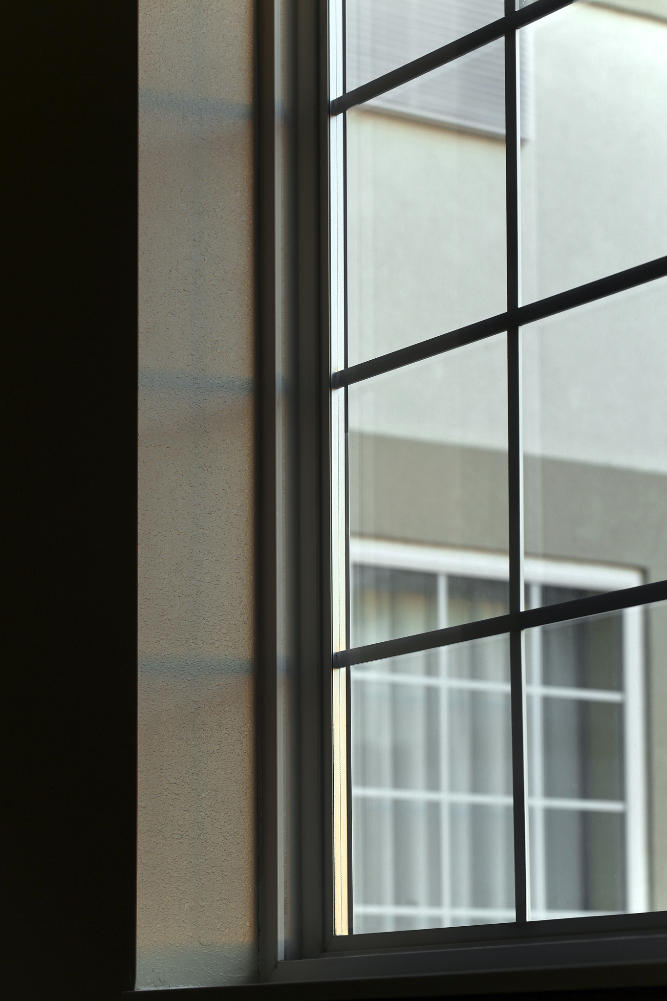 looking thru a window.  vertical.  copy space.