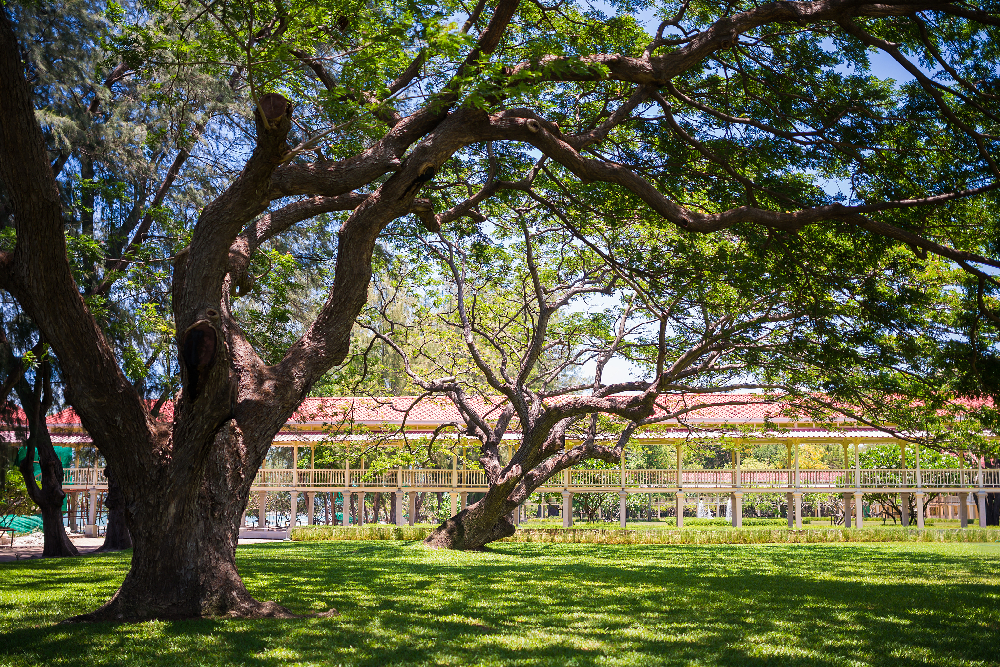 贵州省林业学校园林技术专业招生