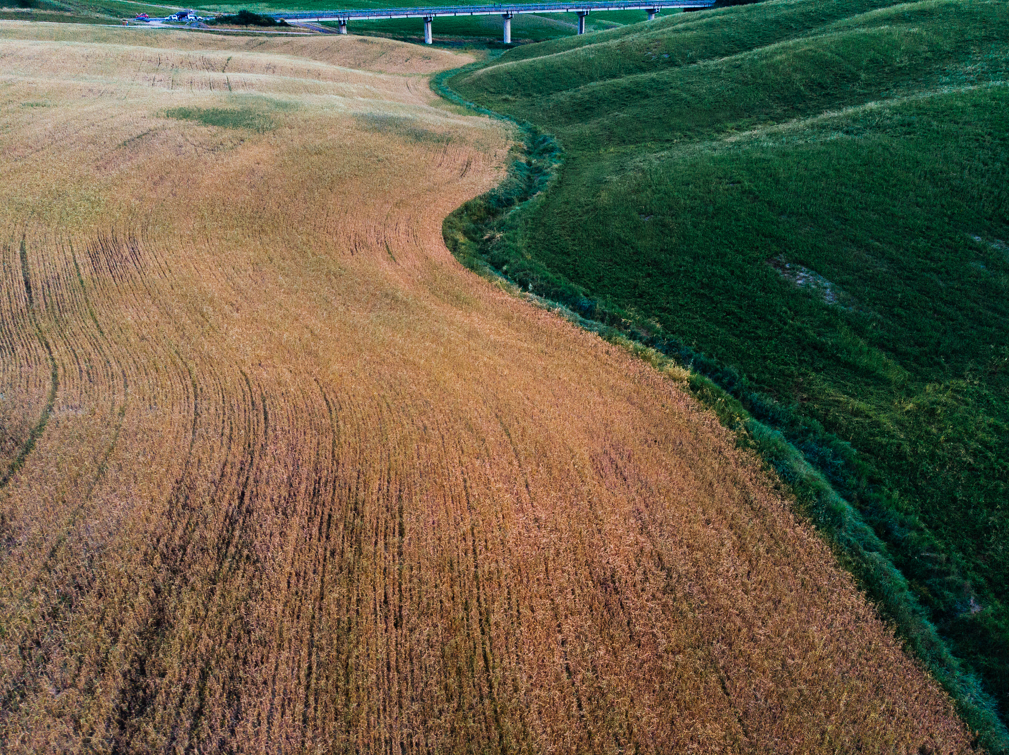 河套平原灌区土壤盐碱化及春小麦-向日葵复种技术分析