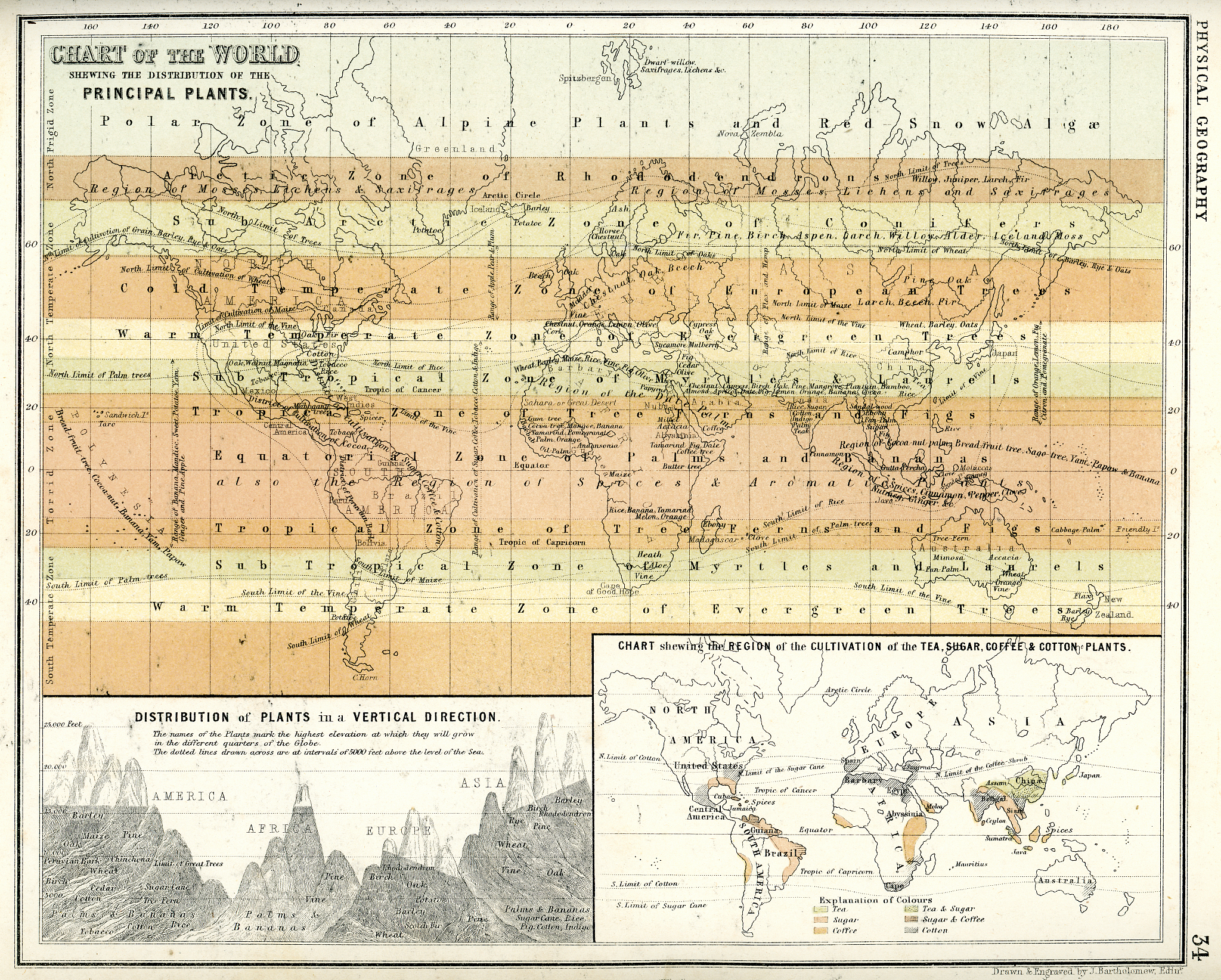 地层等时格架建立顺序：详细步骤和方法
