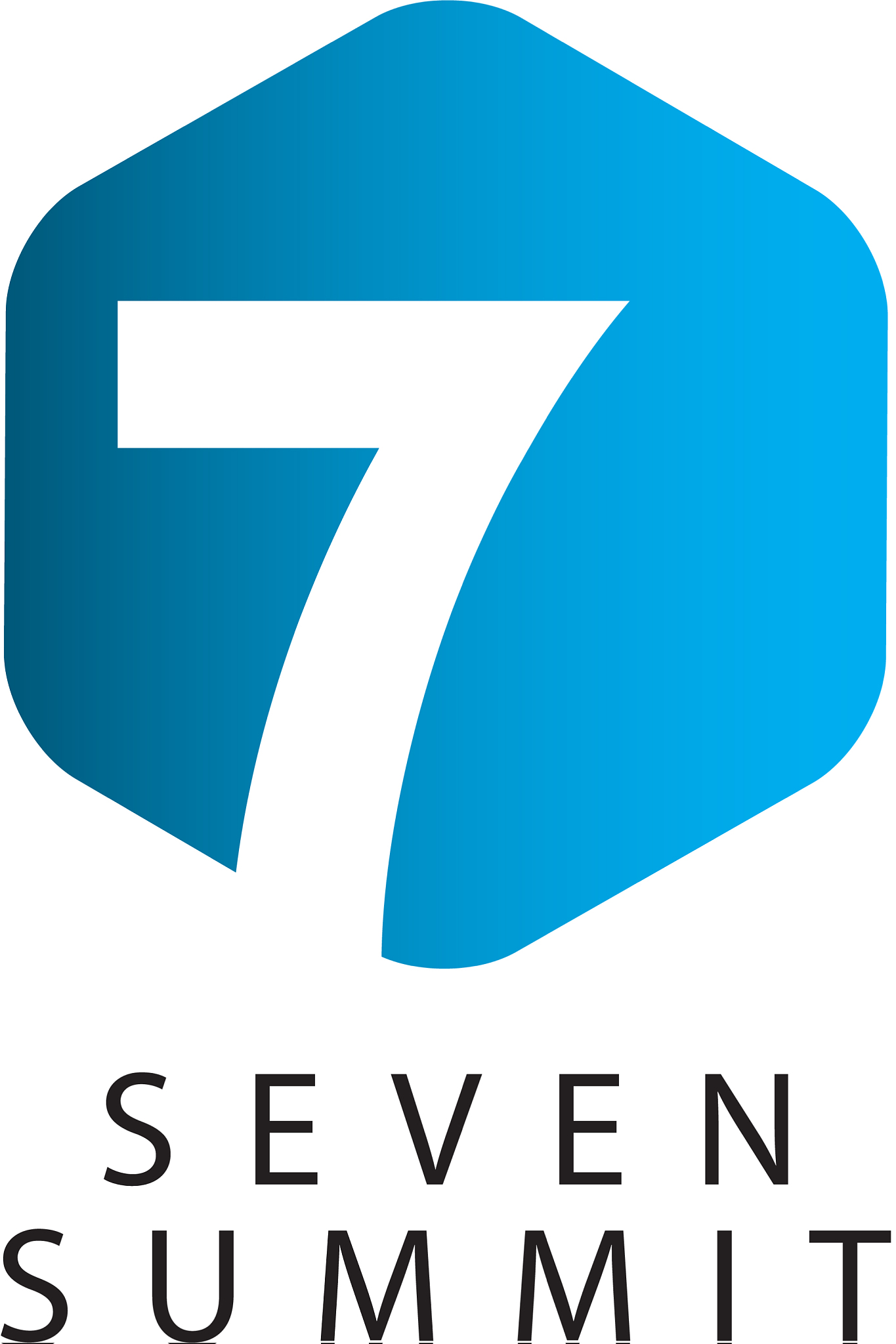 seven summit template design