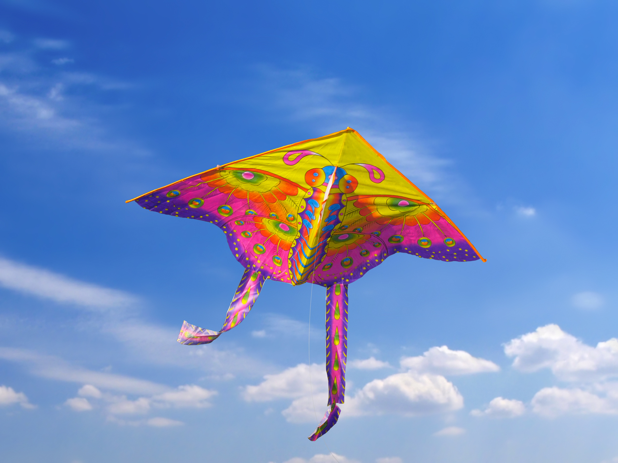 kite in the sky