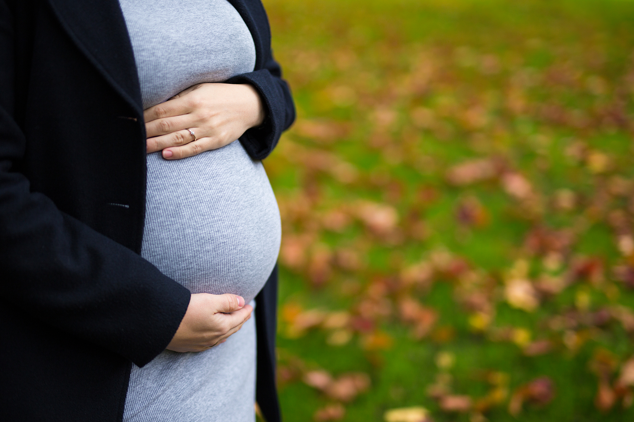 pregnant belly over autumn park background