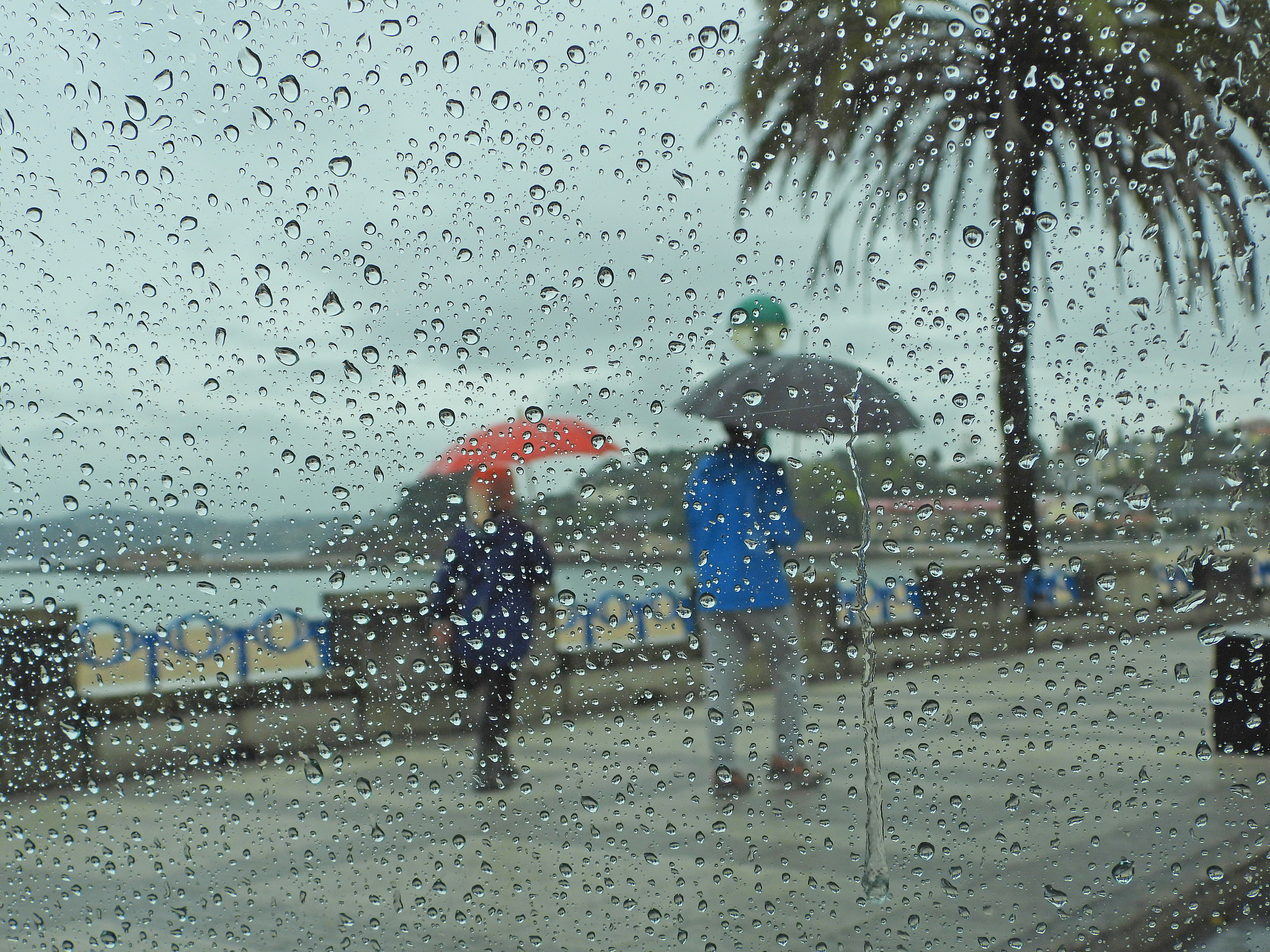 Caught in the Rain: A Common Experience in This City