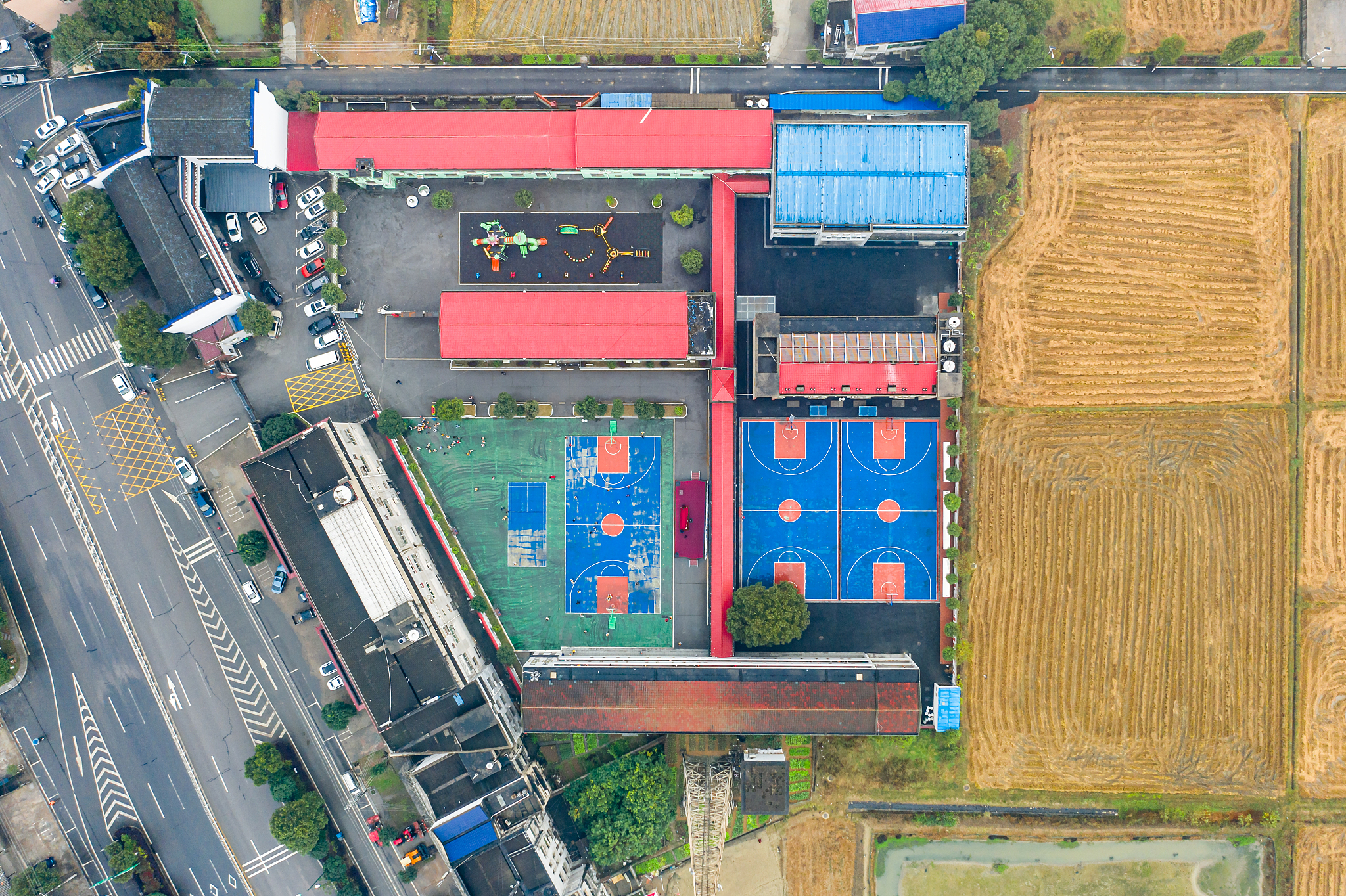 农村小学教育教学现状分析：课程设置的局限性及其优化策略