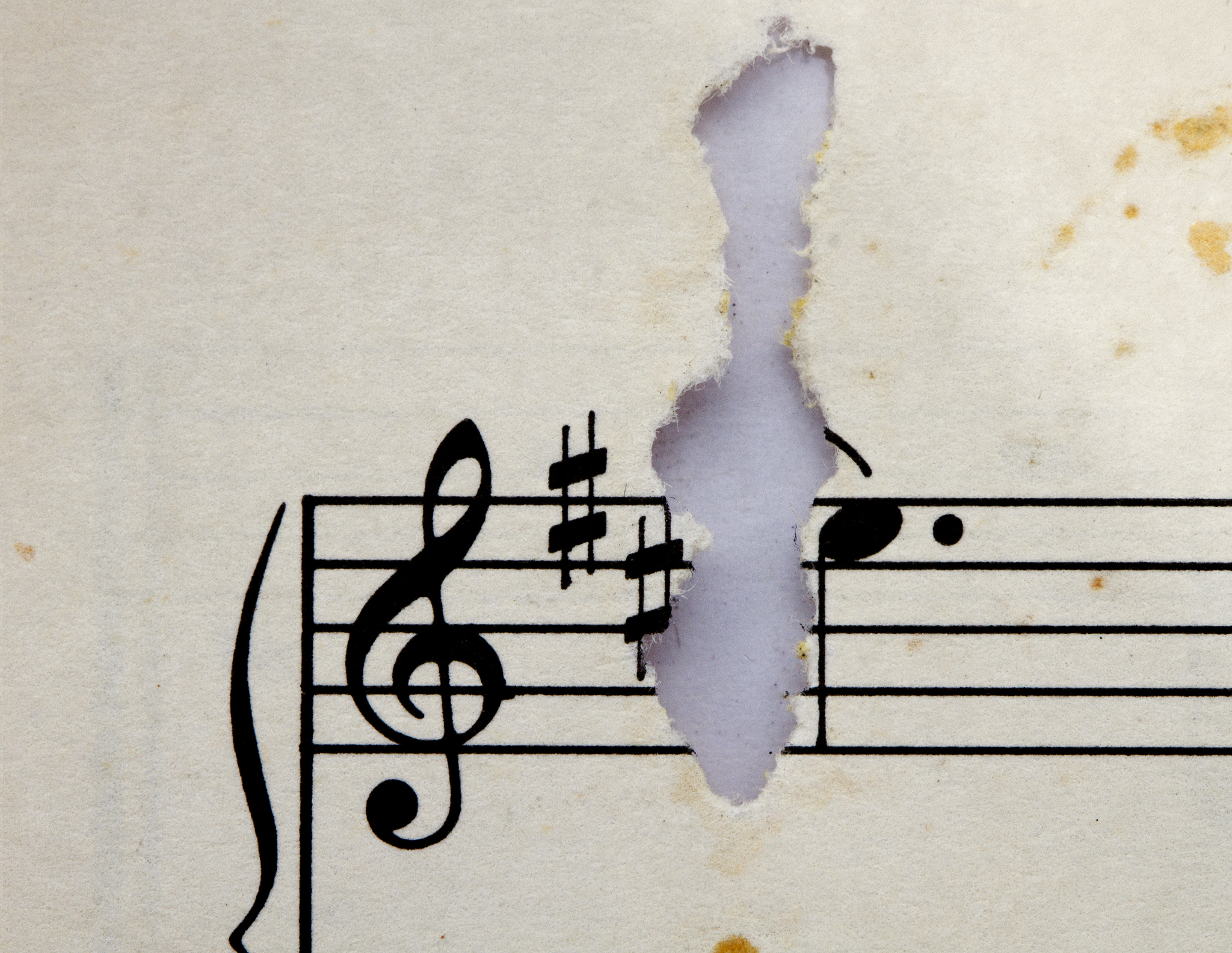 写一篇关于音乐妙不可言的作文