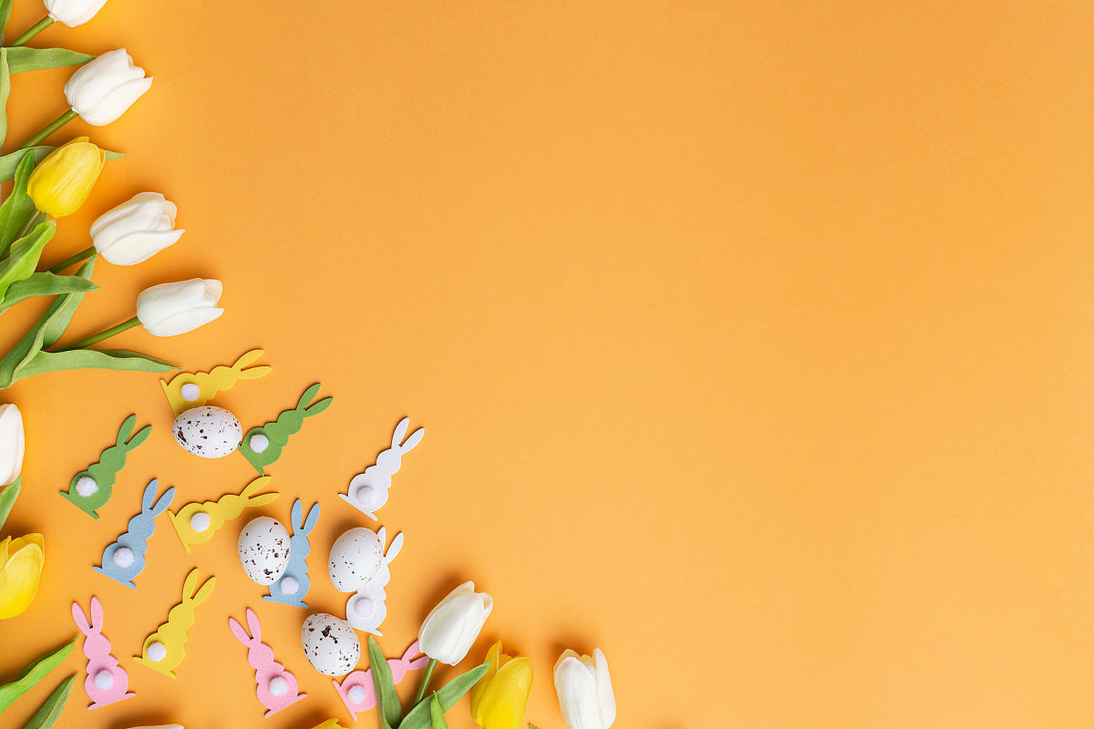 夏日采摘桑葚的乐趣