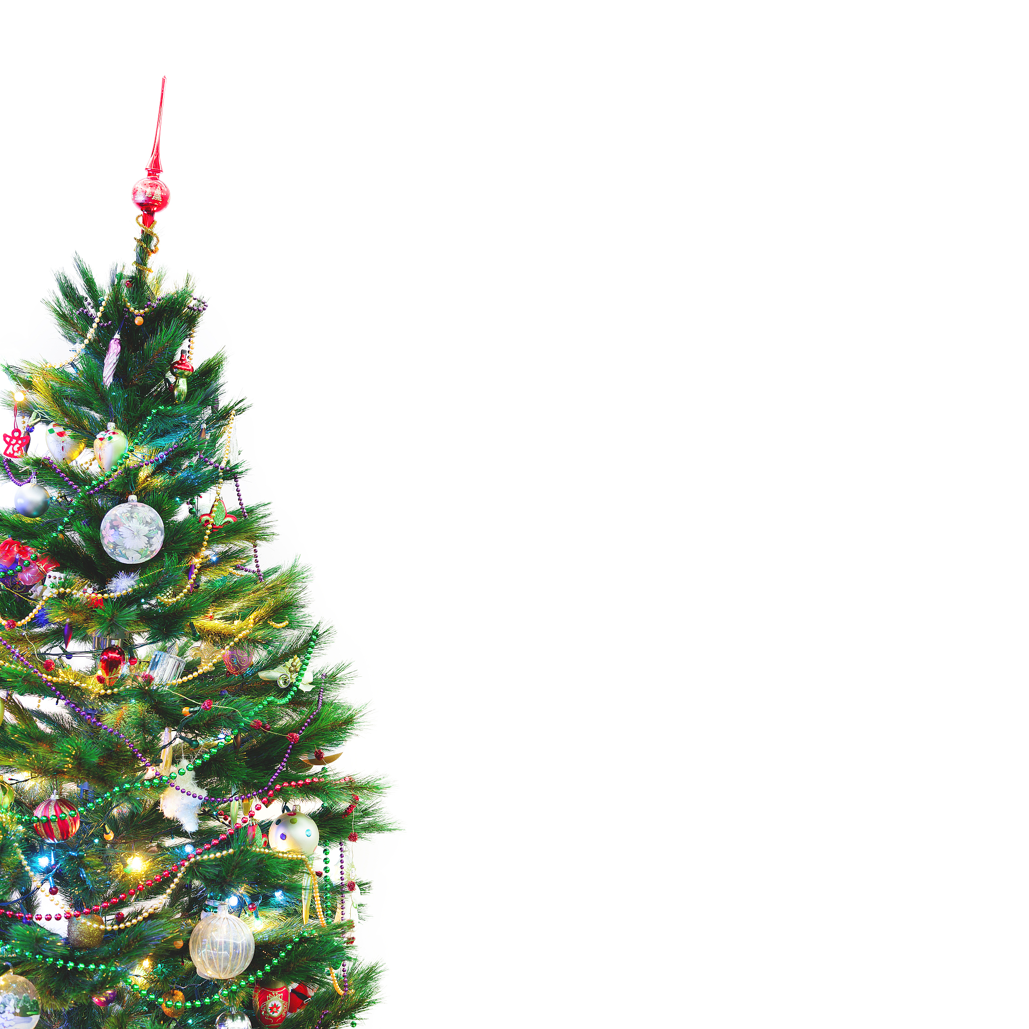 christmas tree stands on white wall background