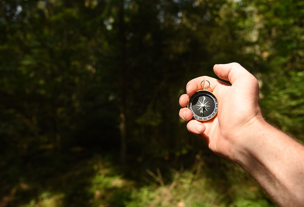 驾驭大自然：户外探险中的野外导航和定向技巧