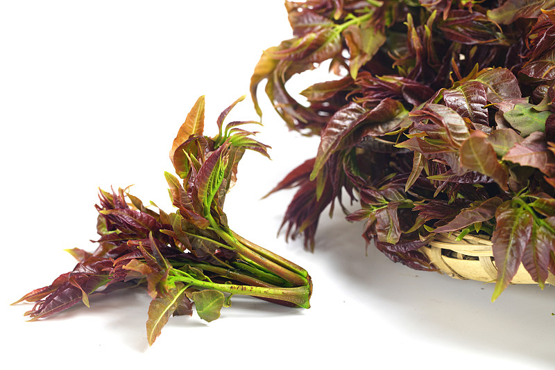 巧腌香椿的做法_巧腌香椿怎么做_菜谱_美食天下