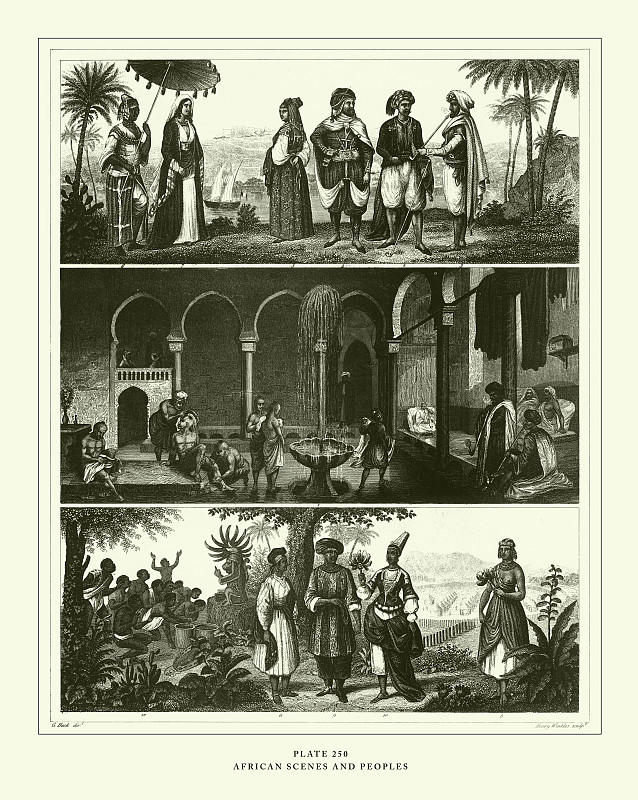 殖民化对土著语言的影响：文化压制、语言替代和教育政策