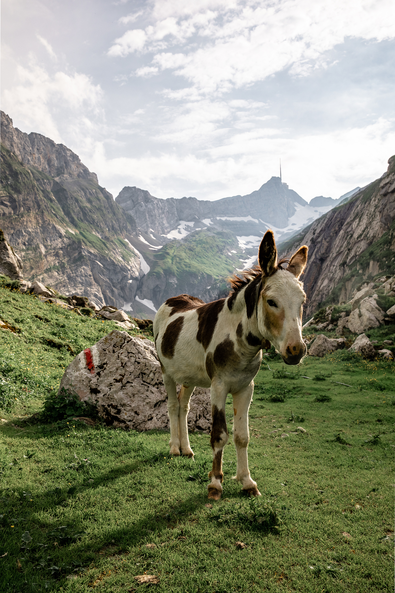 into the swiss mountains