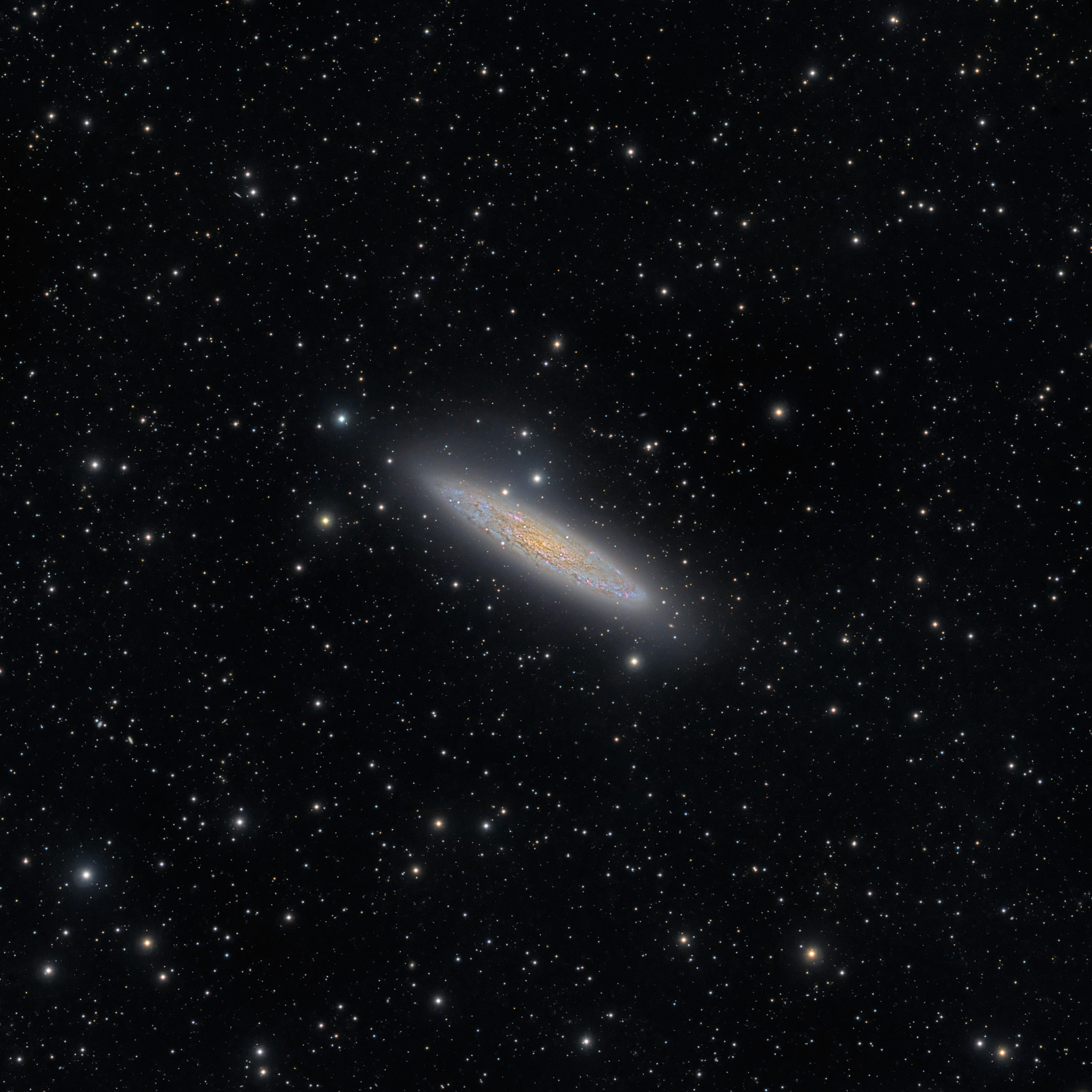 silver dollar galaxy