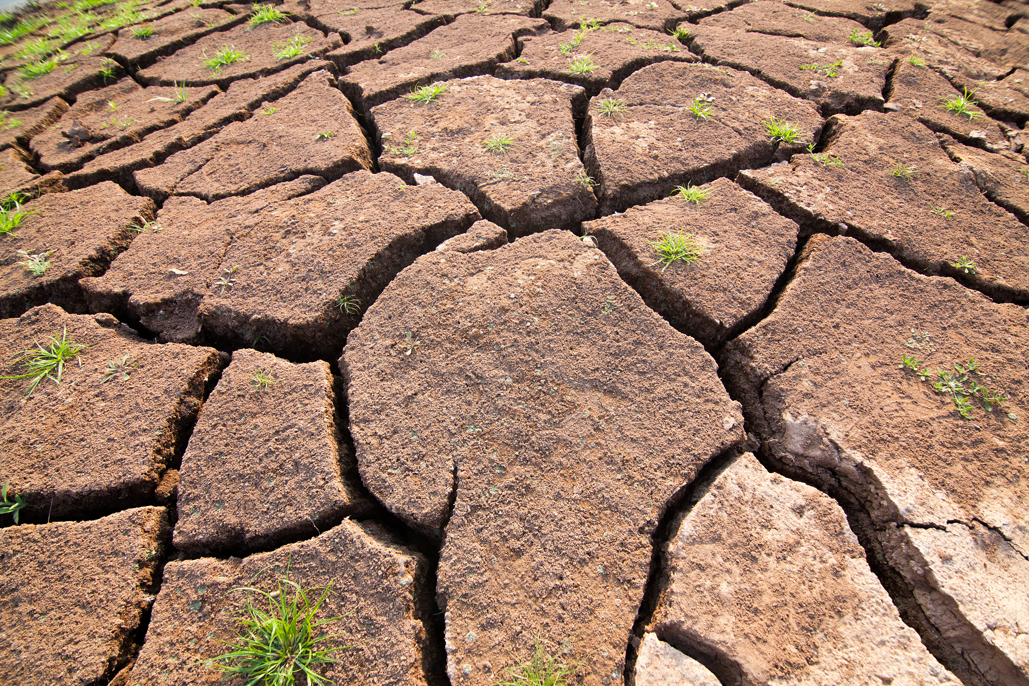 土地分等定级报告收获