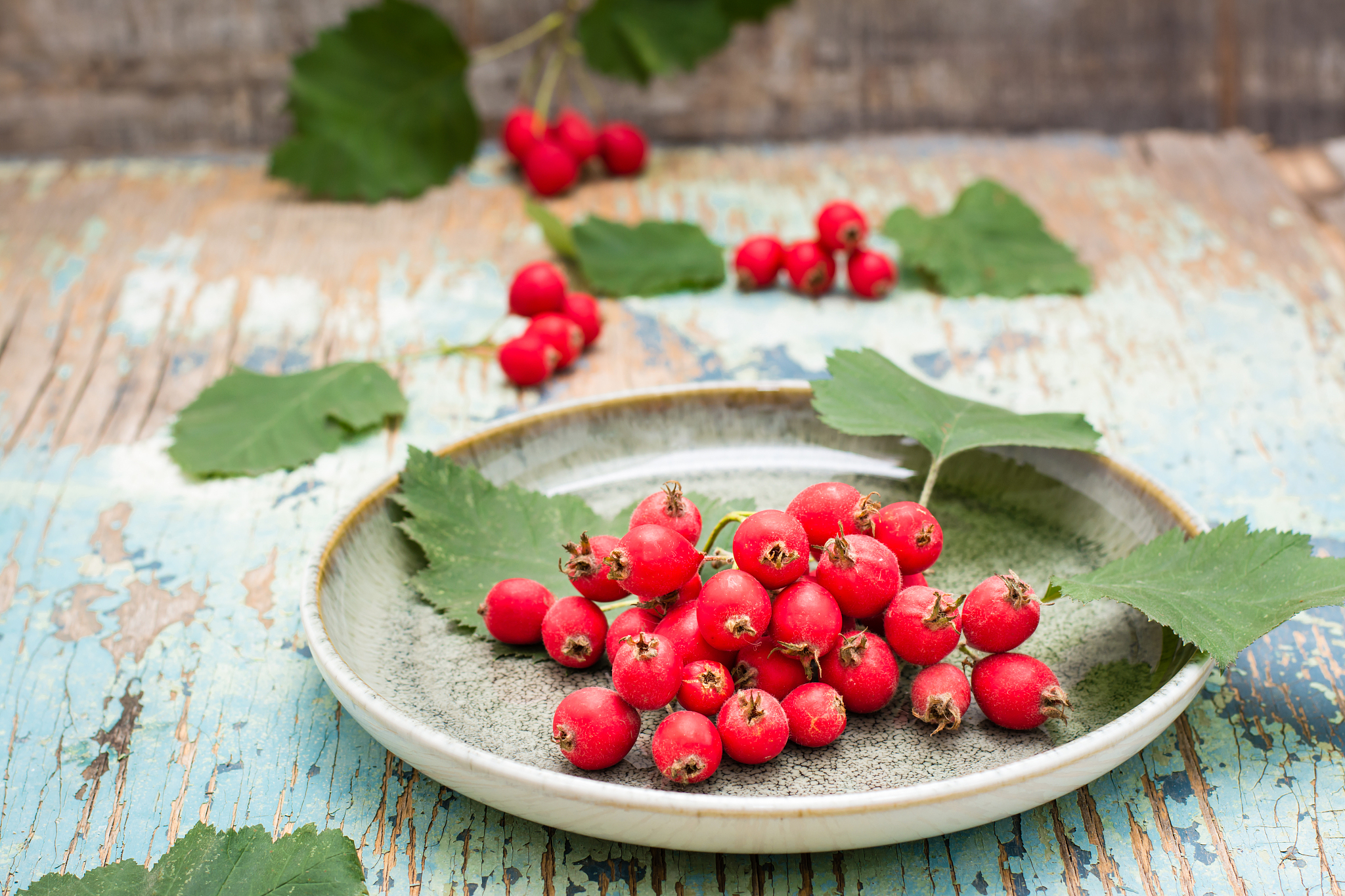 a handful of hawthorn berries with leaves on a plate