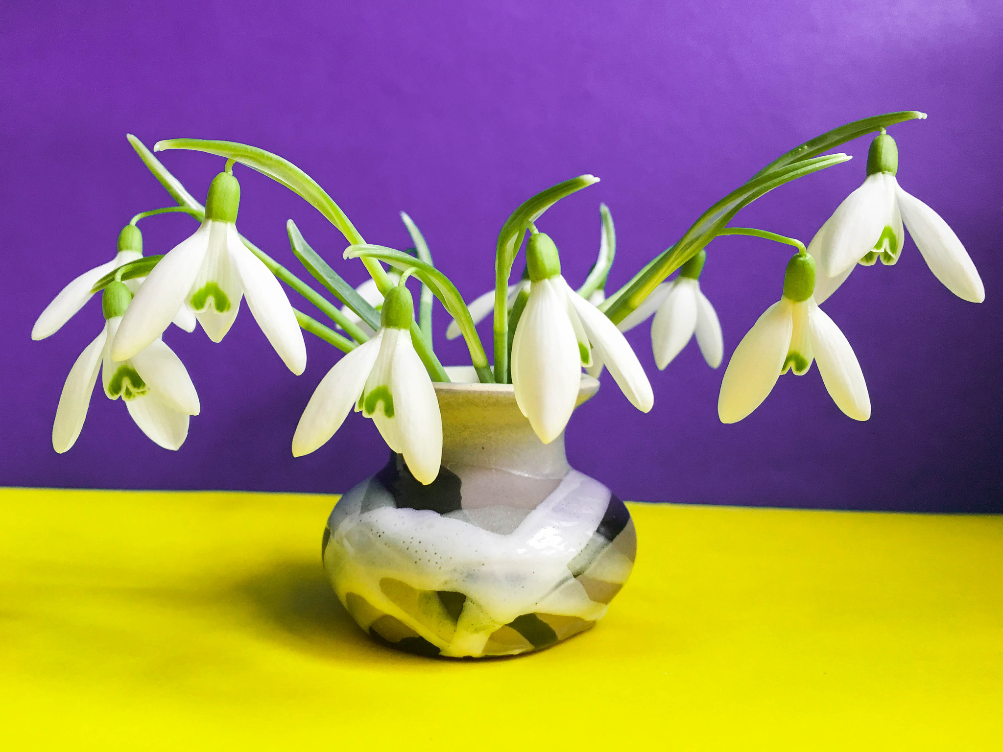 photo of the bouquet of the first spring flowers  snowdrops  in 