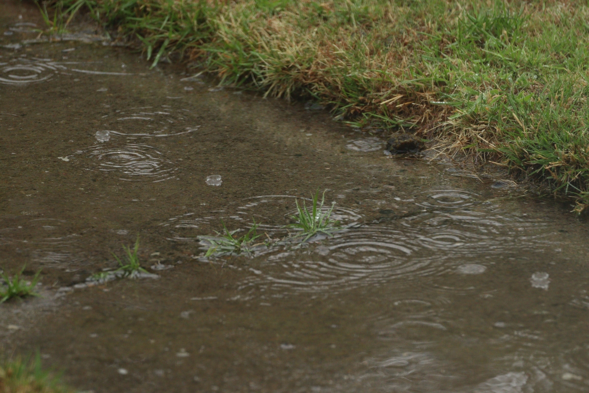 广州增城洪水共现率分析：农田受浸与重大经济损失高度相关