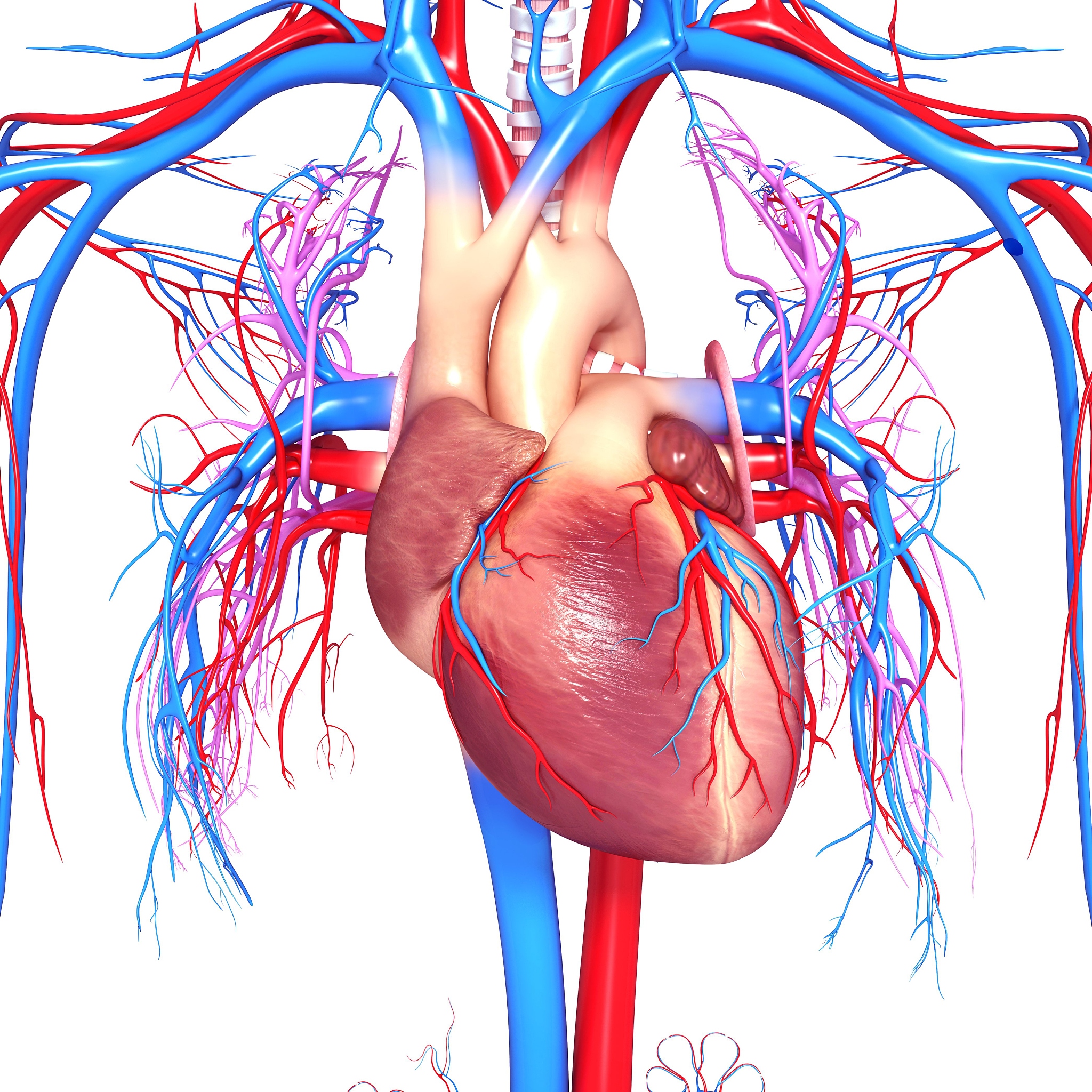 天津开发区职业技术学院招生专业介绍