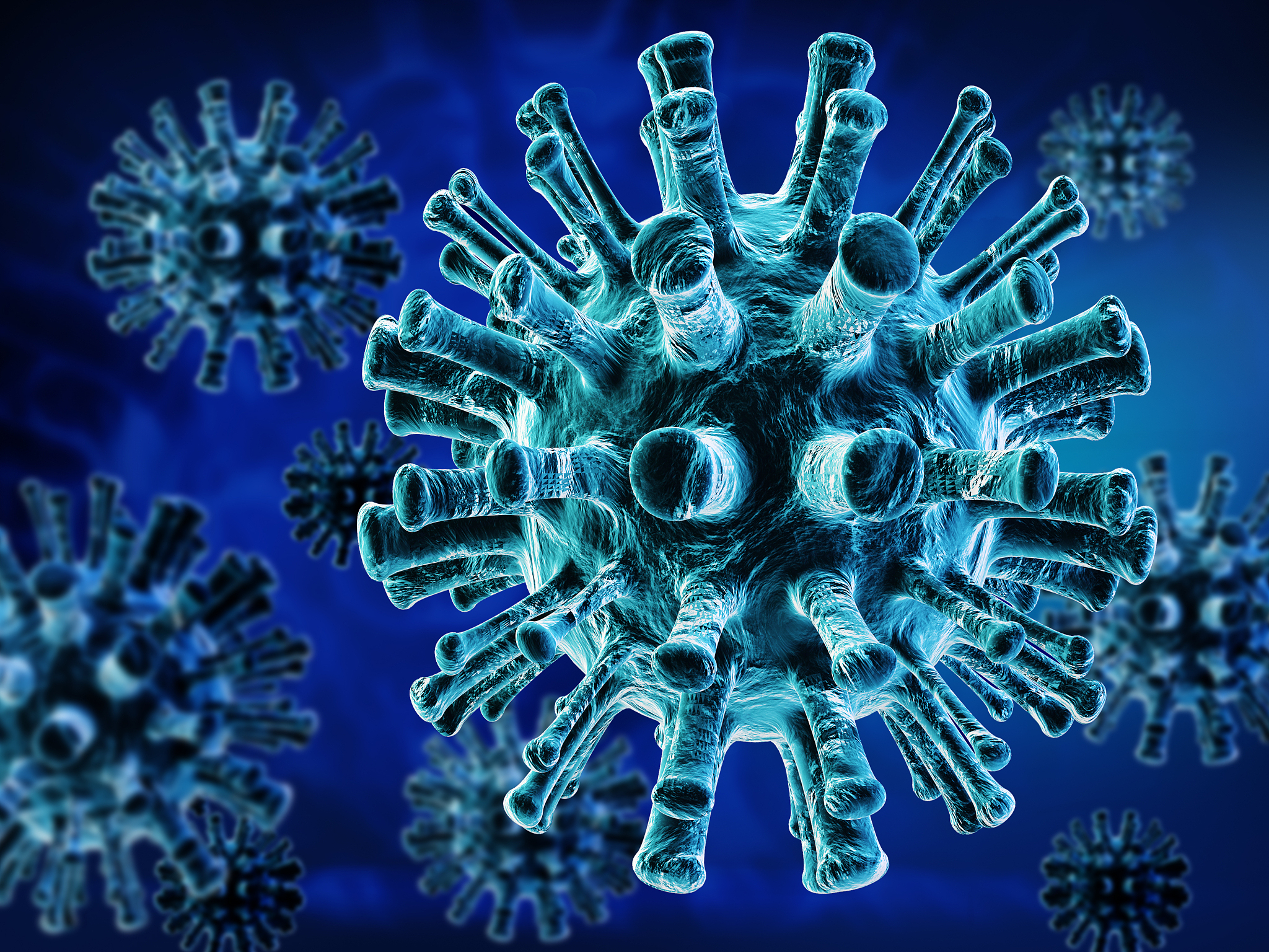 朊病毒只有大脑有吗？